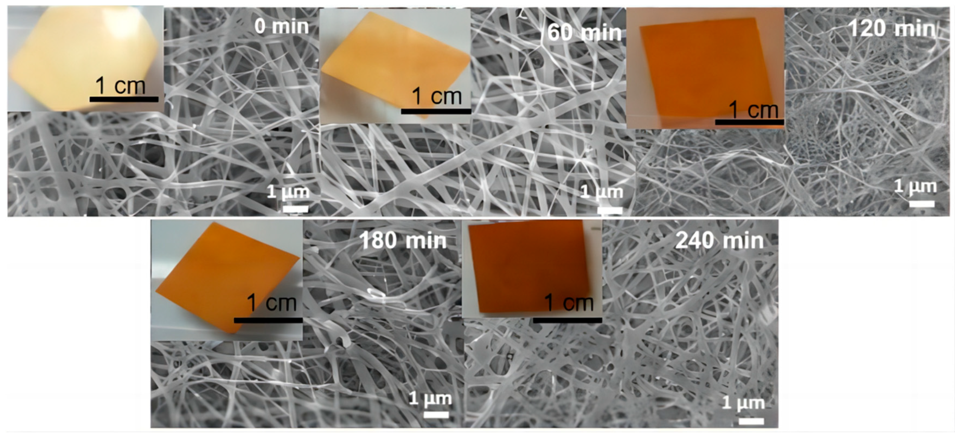 Molecules 28 06157 g003 Molecules 28 06157 g003