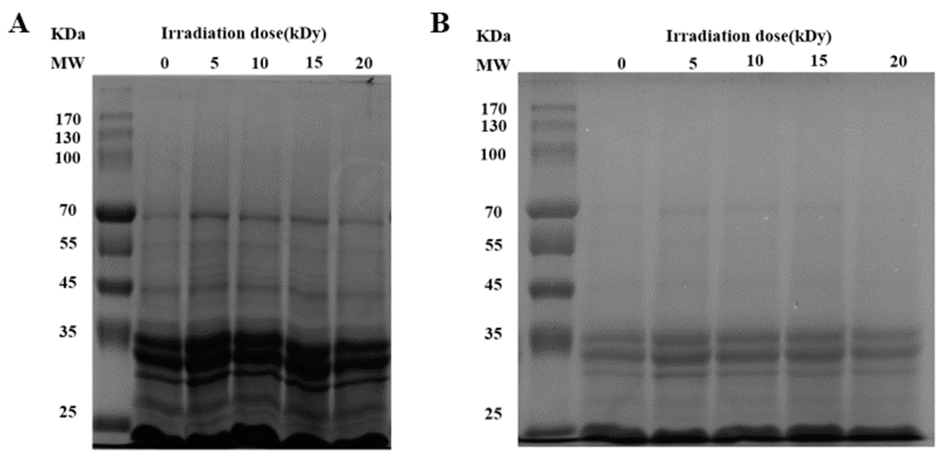 Molecules 28 06161 g003