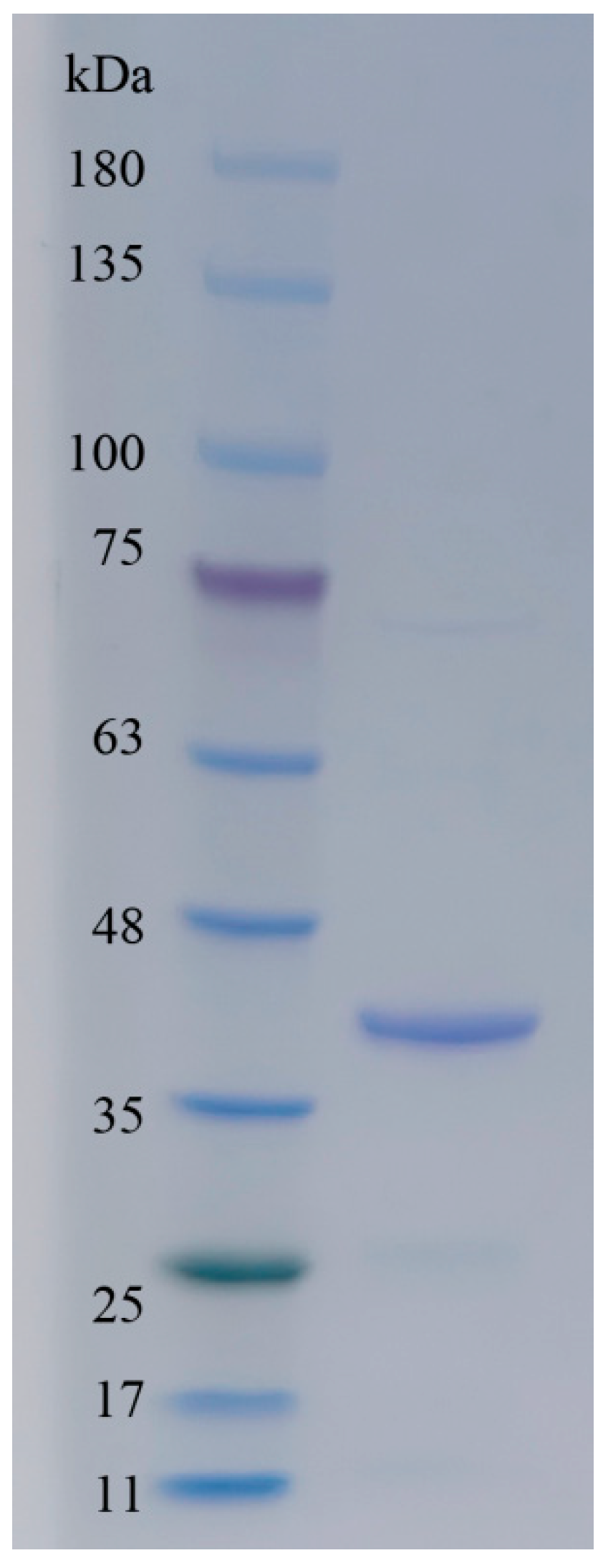 Molecules 28 06190 g003