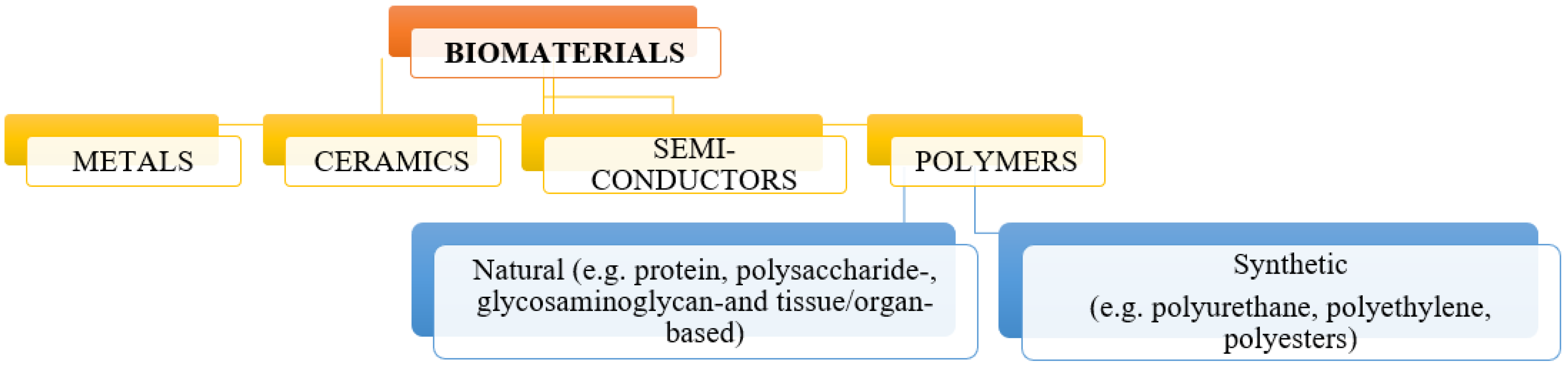 Molecules 28 06213 g001