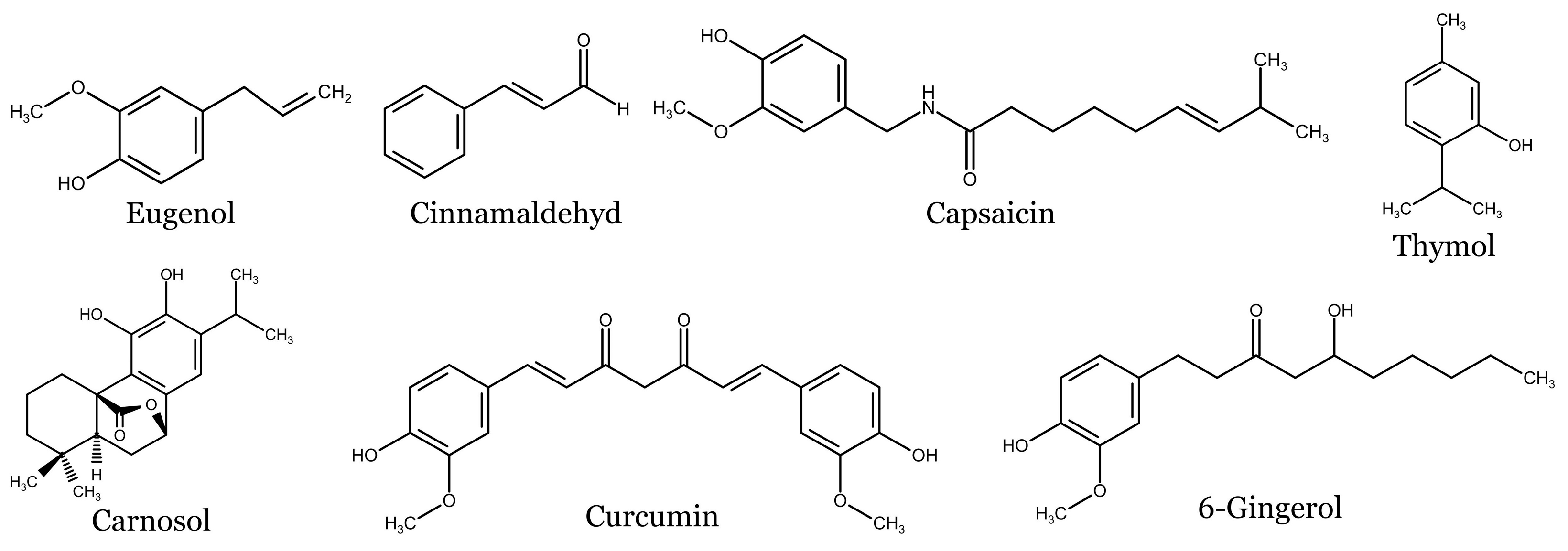 Molecules 28 06251 g004 Molecules 28 06251 g004