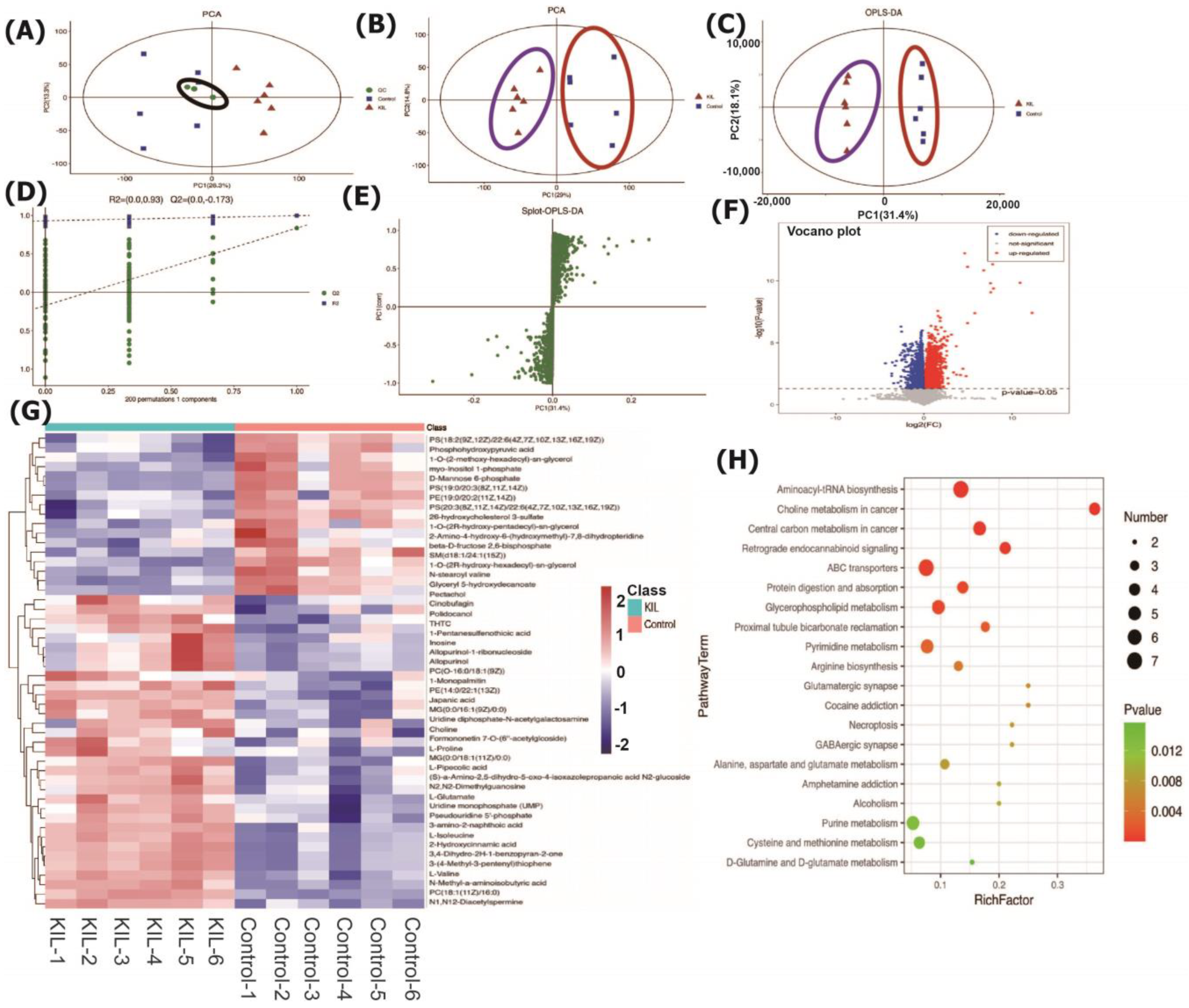 Molecules 28 06254 g006