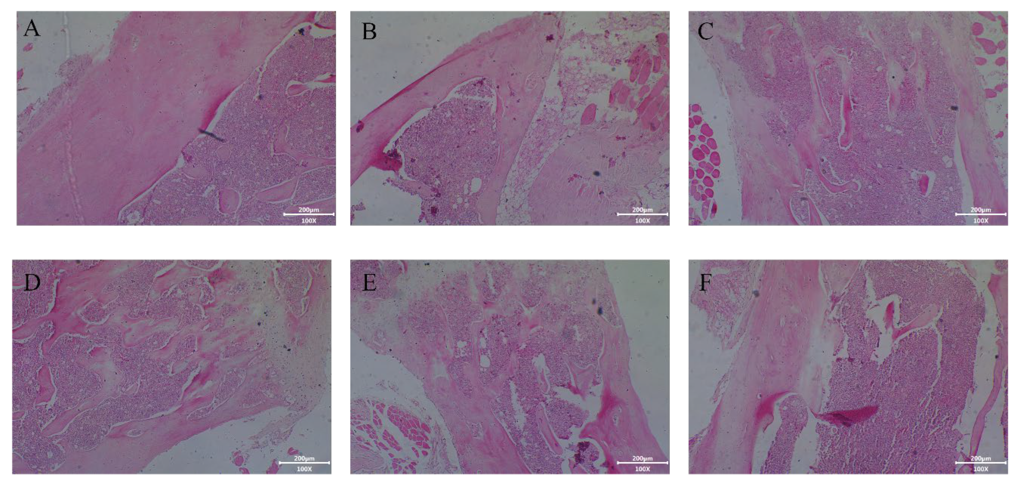 Molecules 28 06275 g006