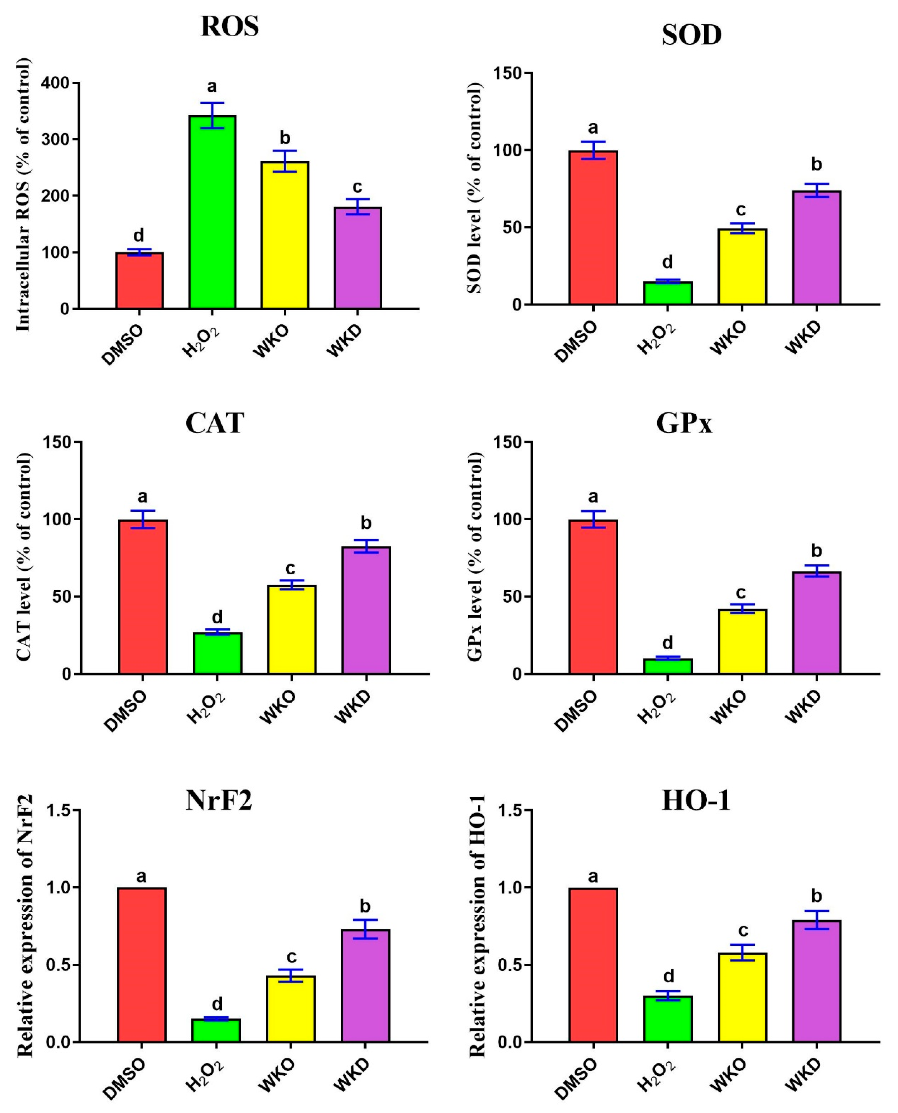 Molecules 28 06281 g008
