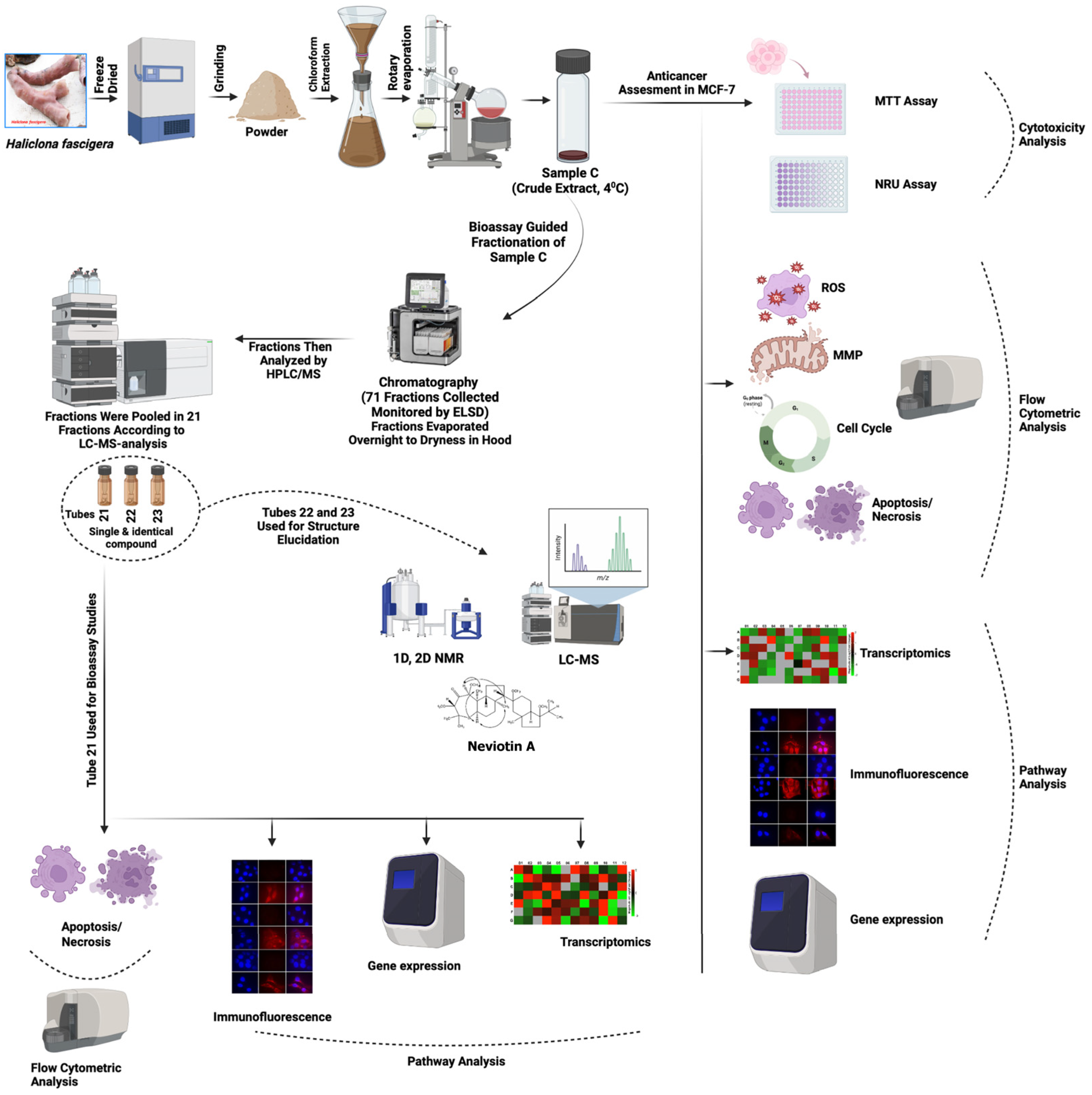 Molecules 28 06289 g007