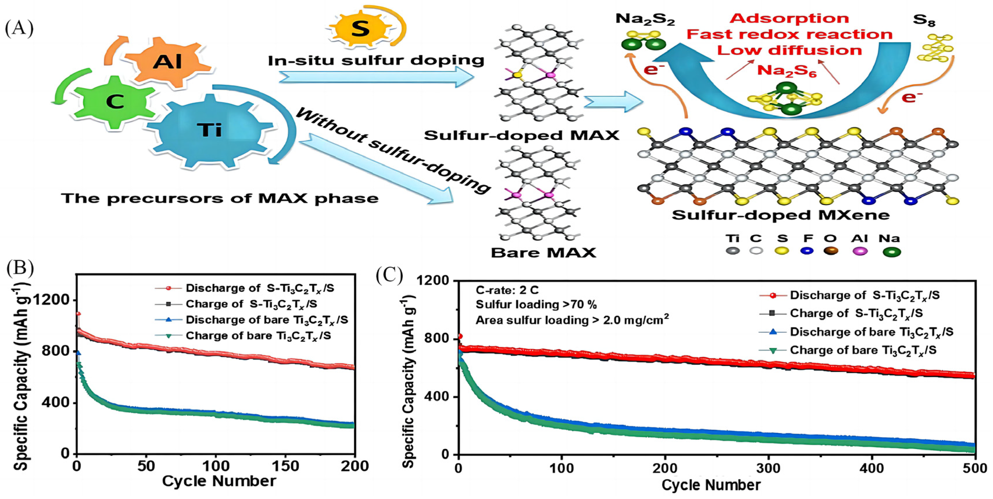 Molecules 28 06292 g001a