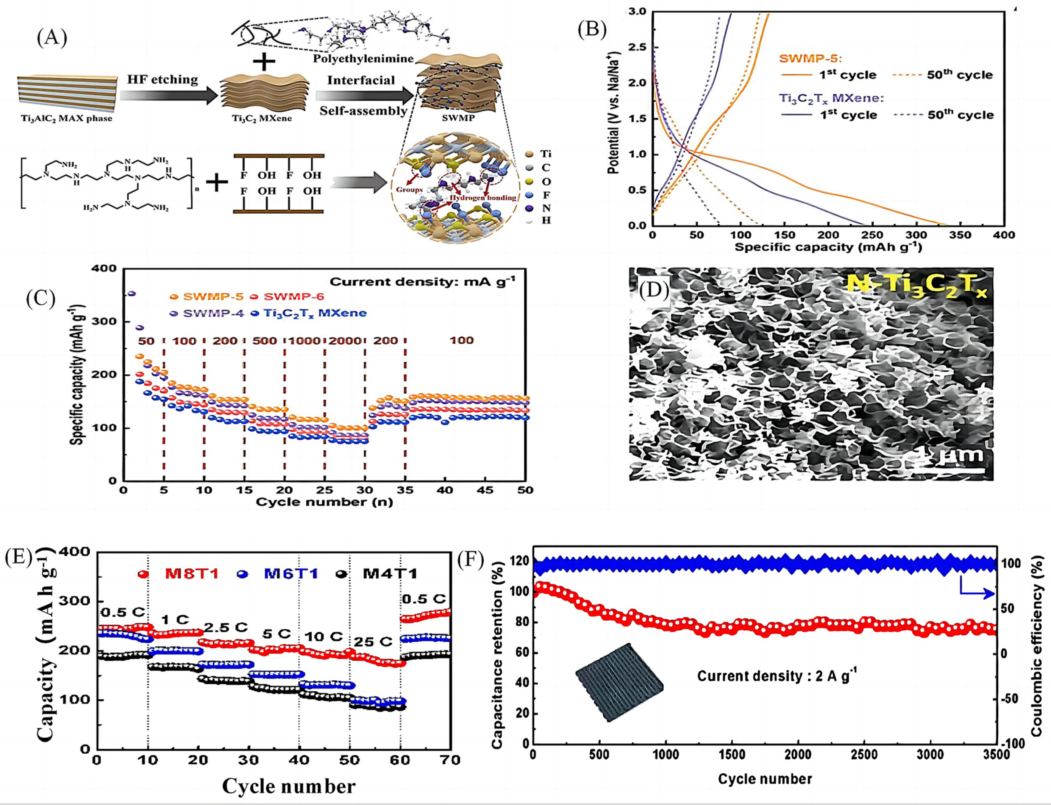 Molecules 28 06292 g002