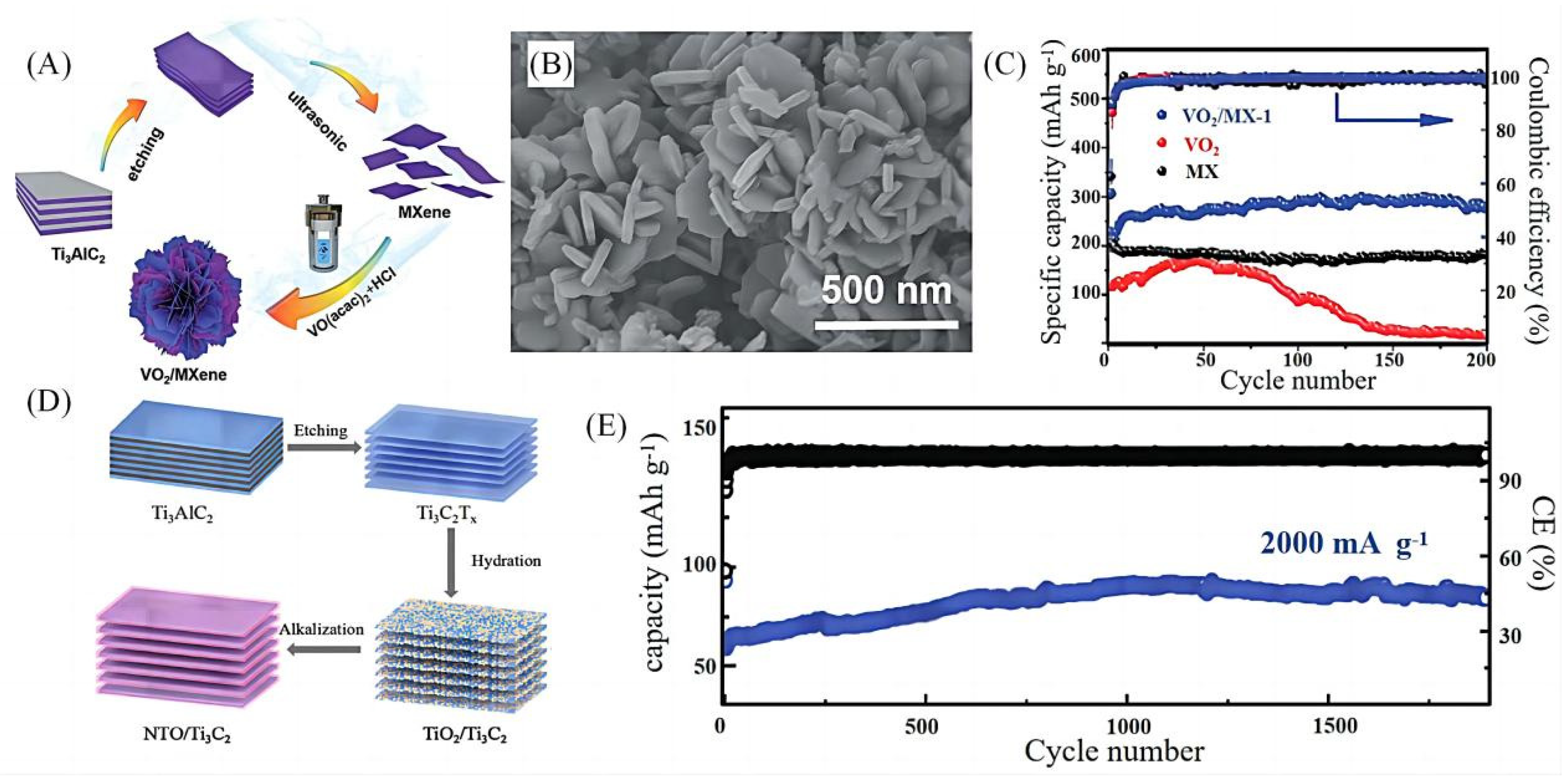 Molecules 28 06292 g003a