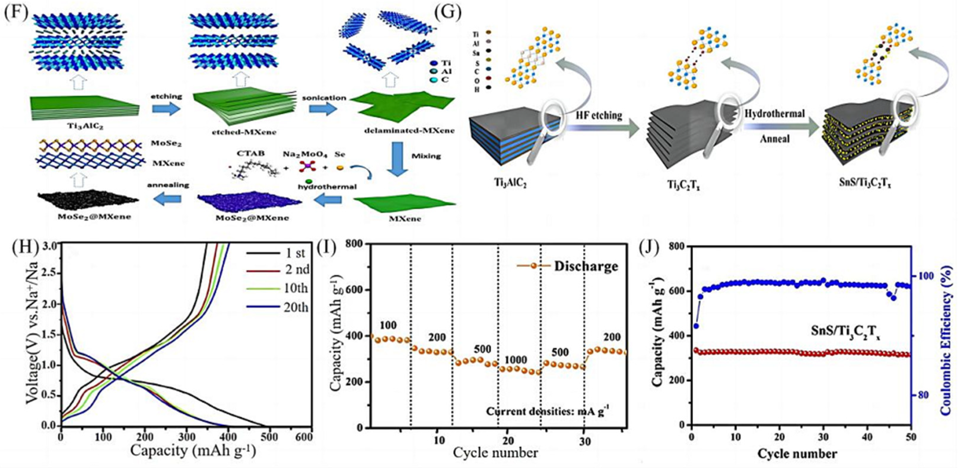 Molecules 28 06292 g003b