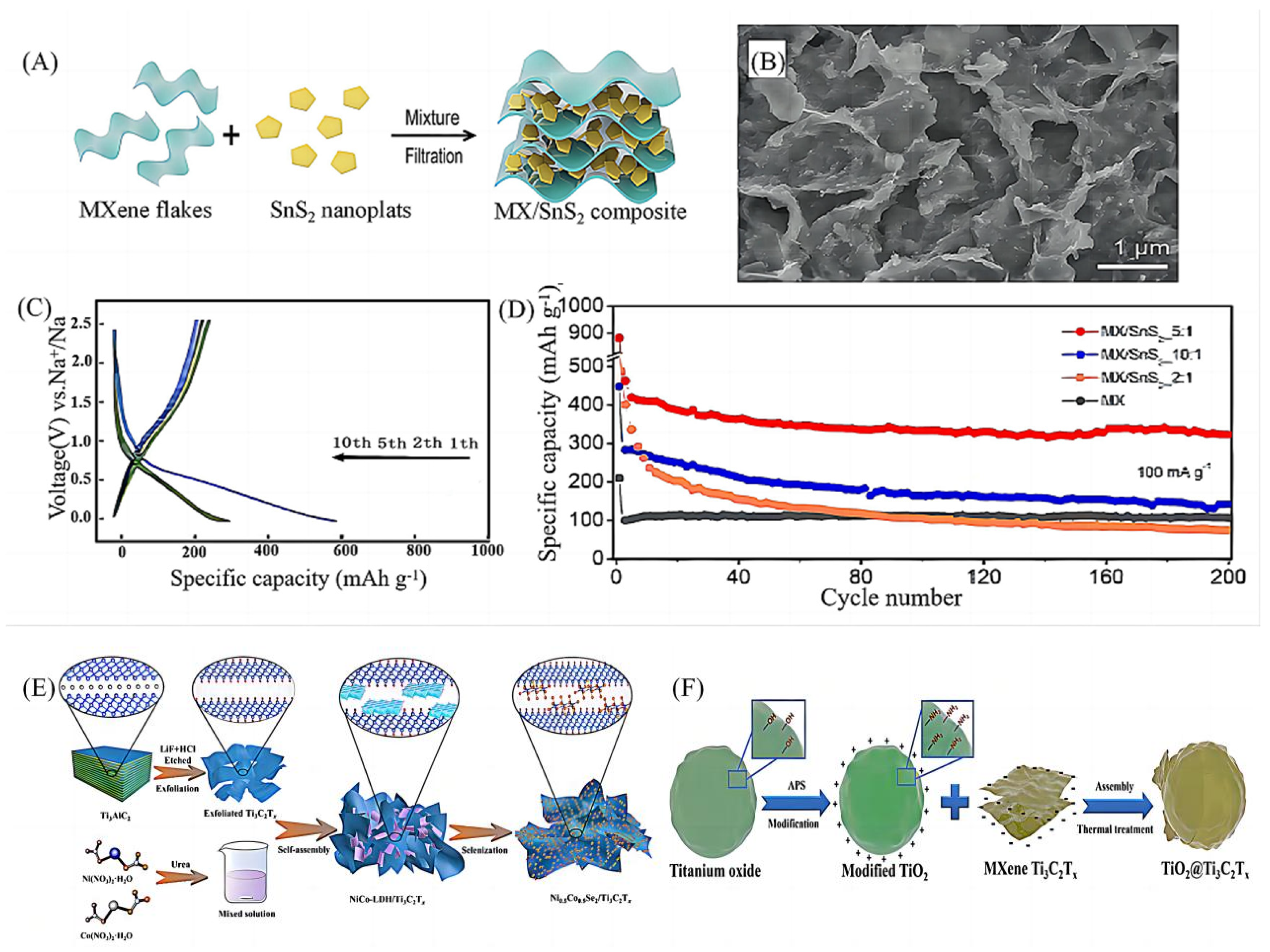 Molecules 28 06292 g004