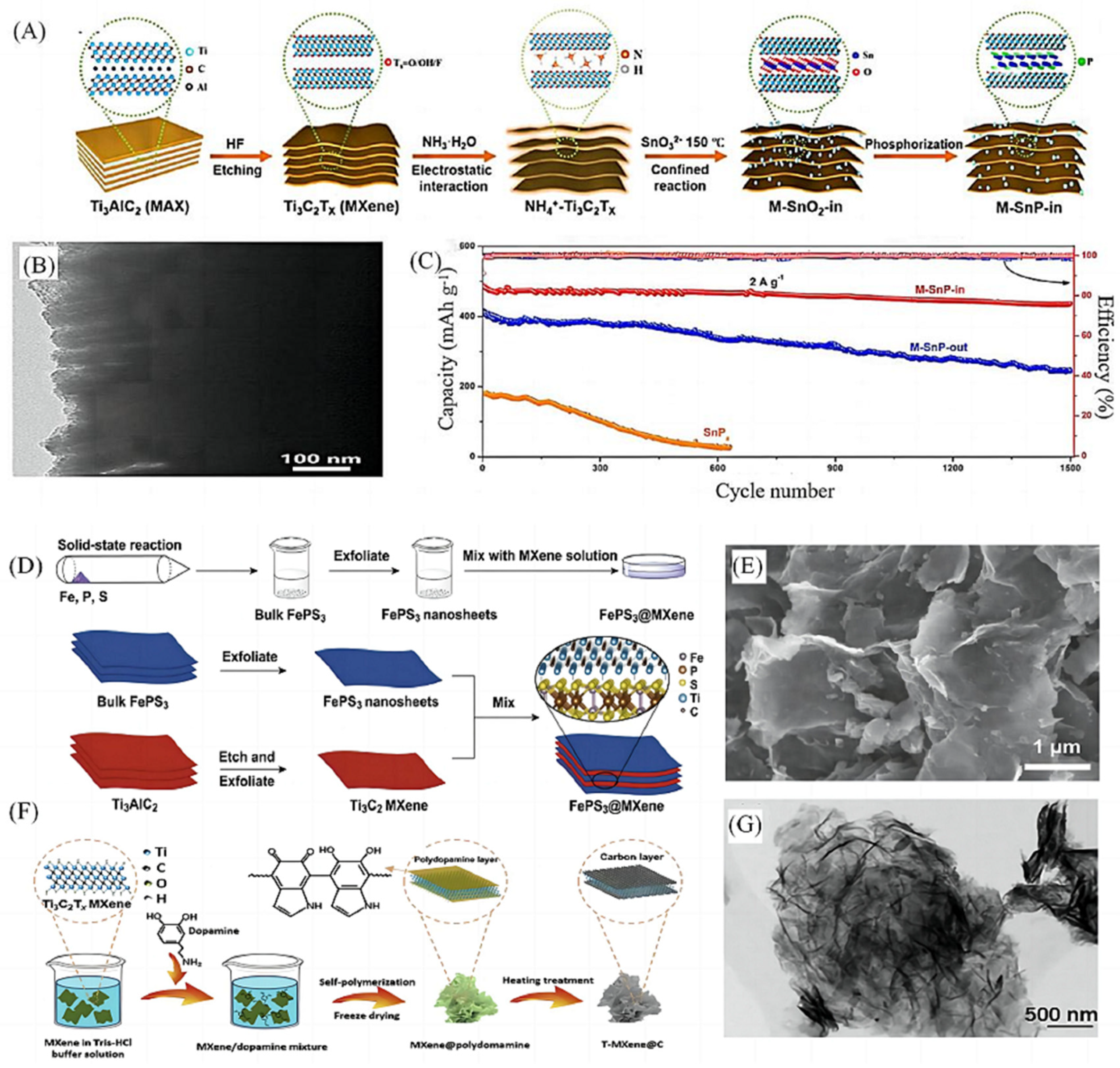 Molecules 28 06292 g005