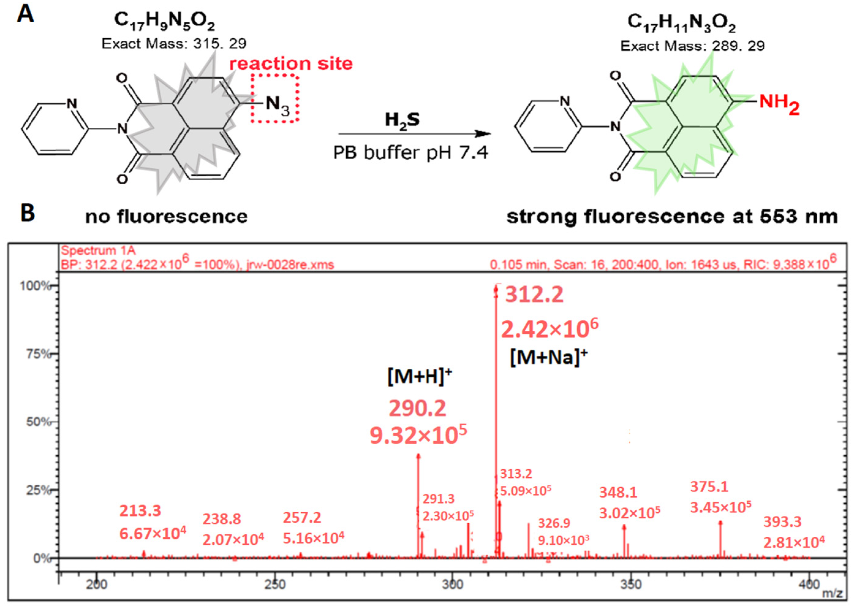 Molecules 28 06299 g006