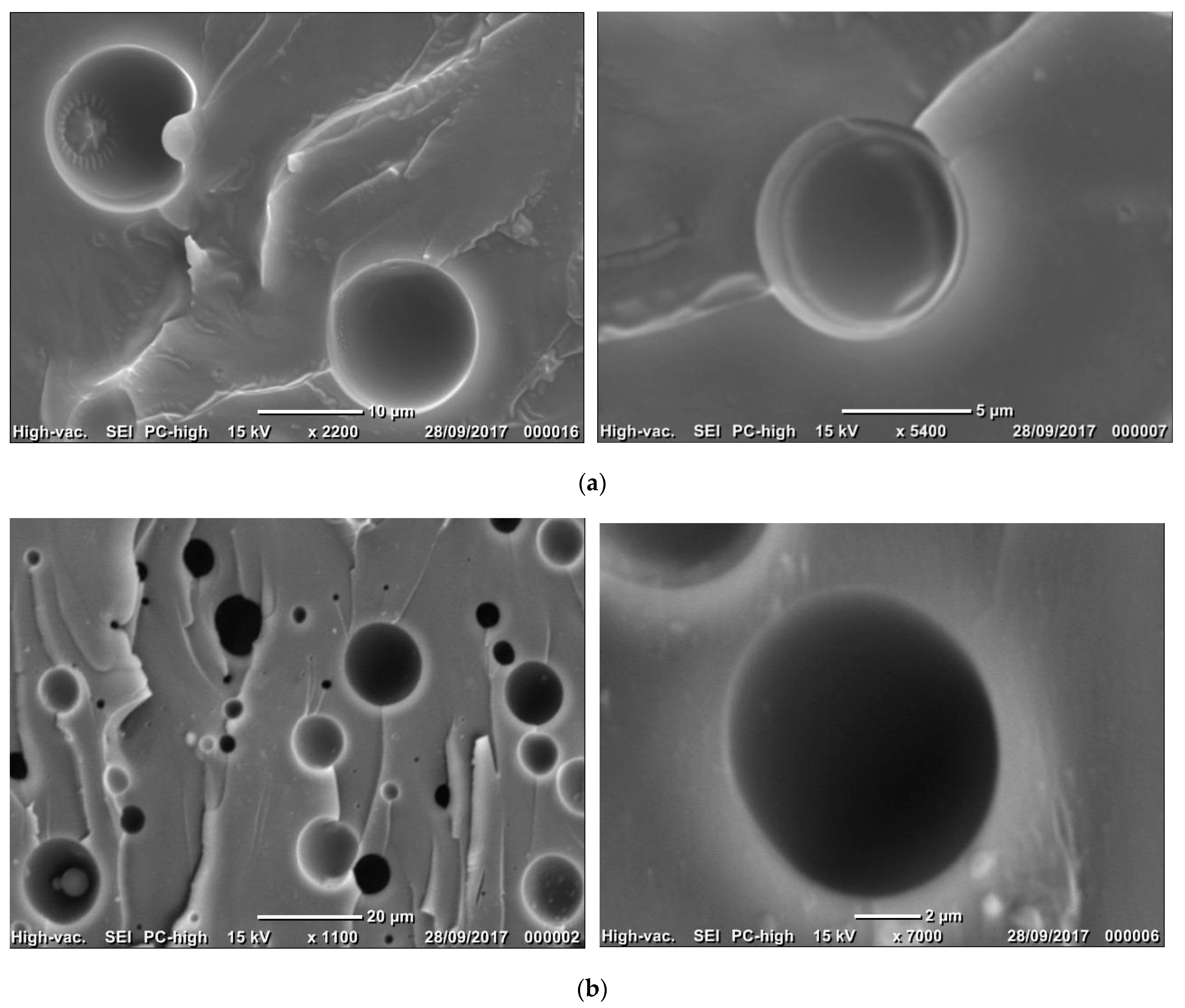 Molecules 28 06300 g009