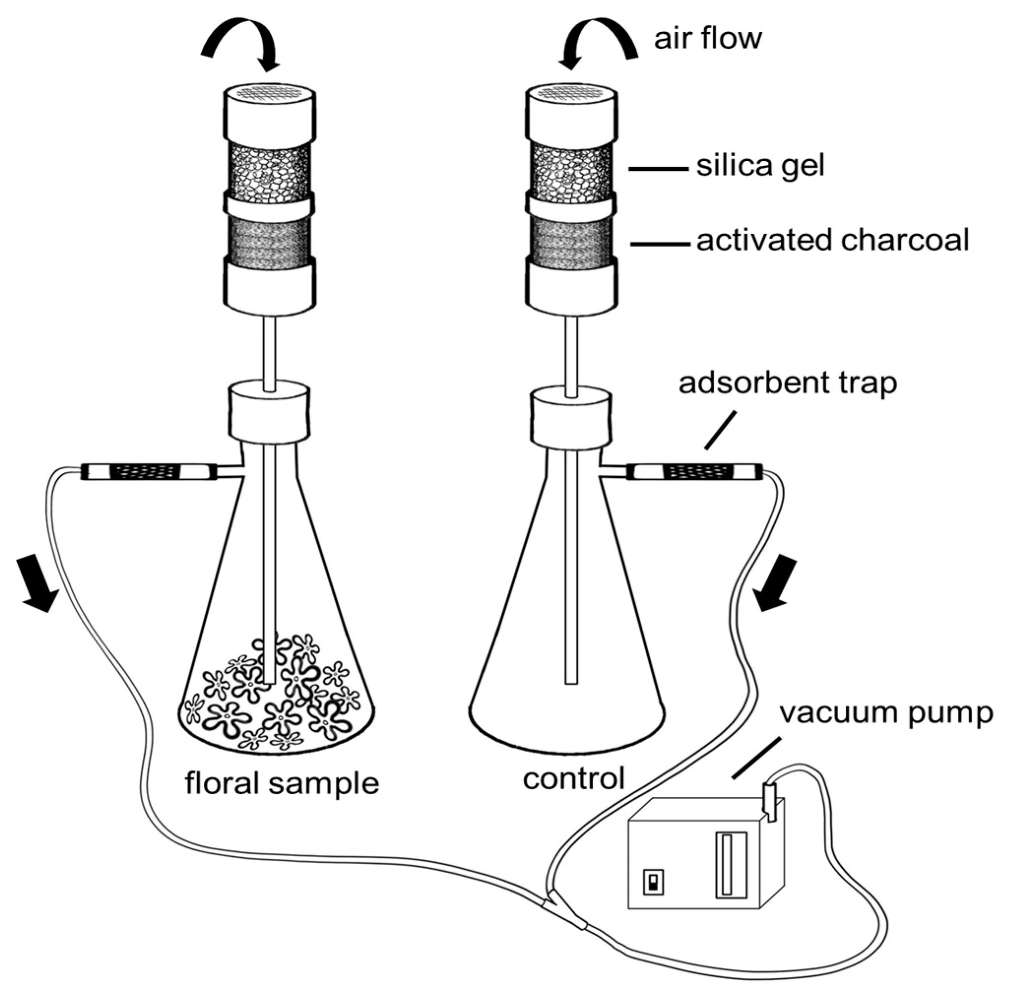 Molecules 28 06312 g005 Molecules 28 06312 g005
