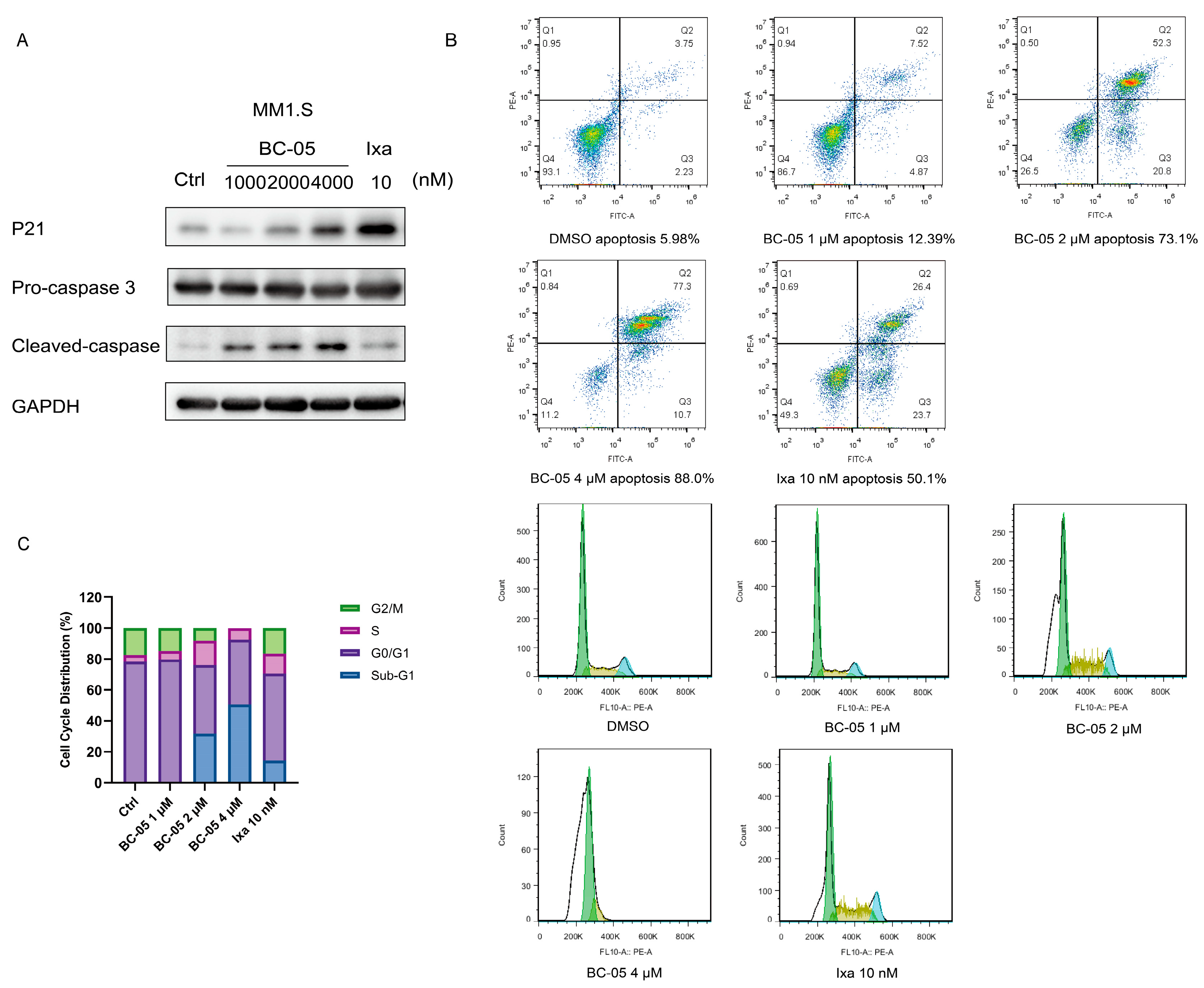 Molecules 28 06343 g004