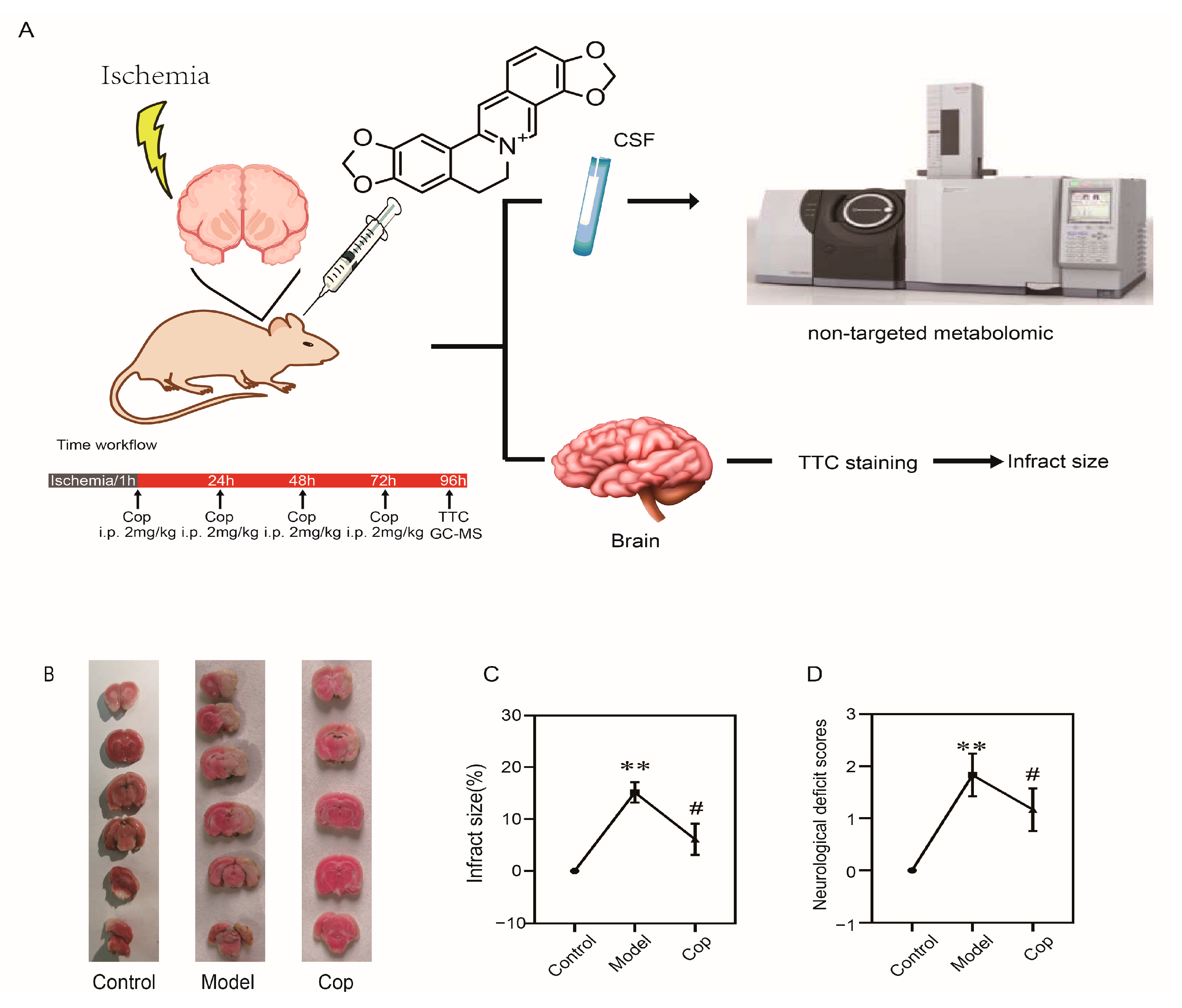 Molecules 28 06350 g001
