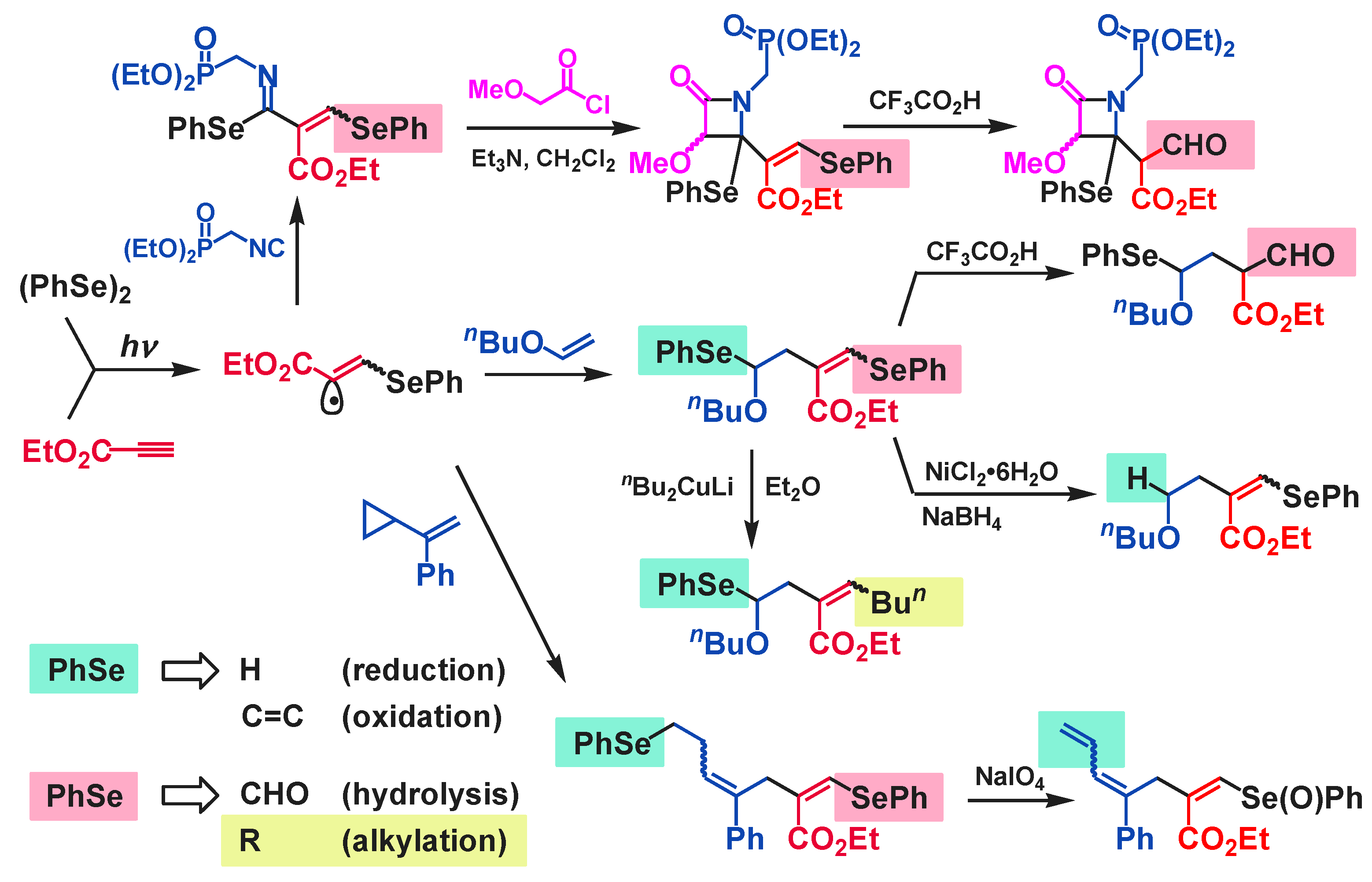 Molecules 28 06356 sch005