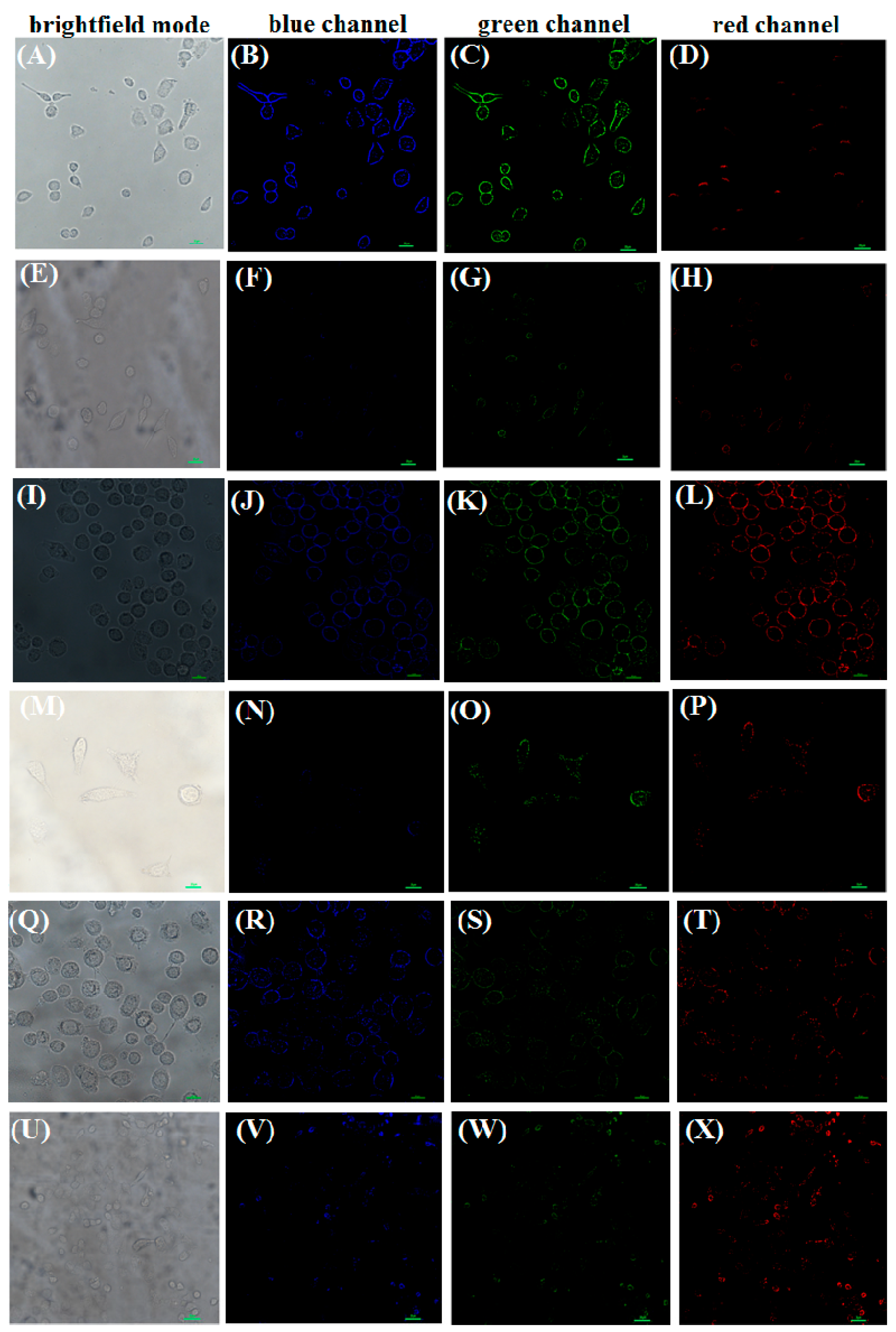 Molecules 28 06369 g007