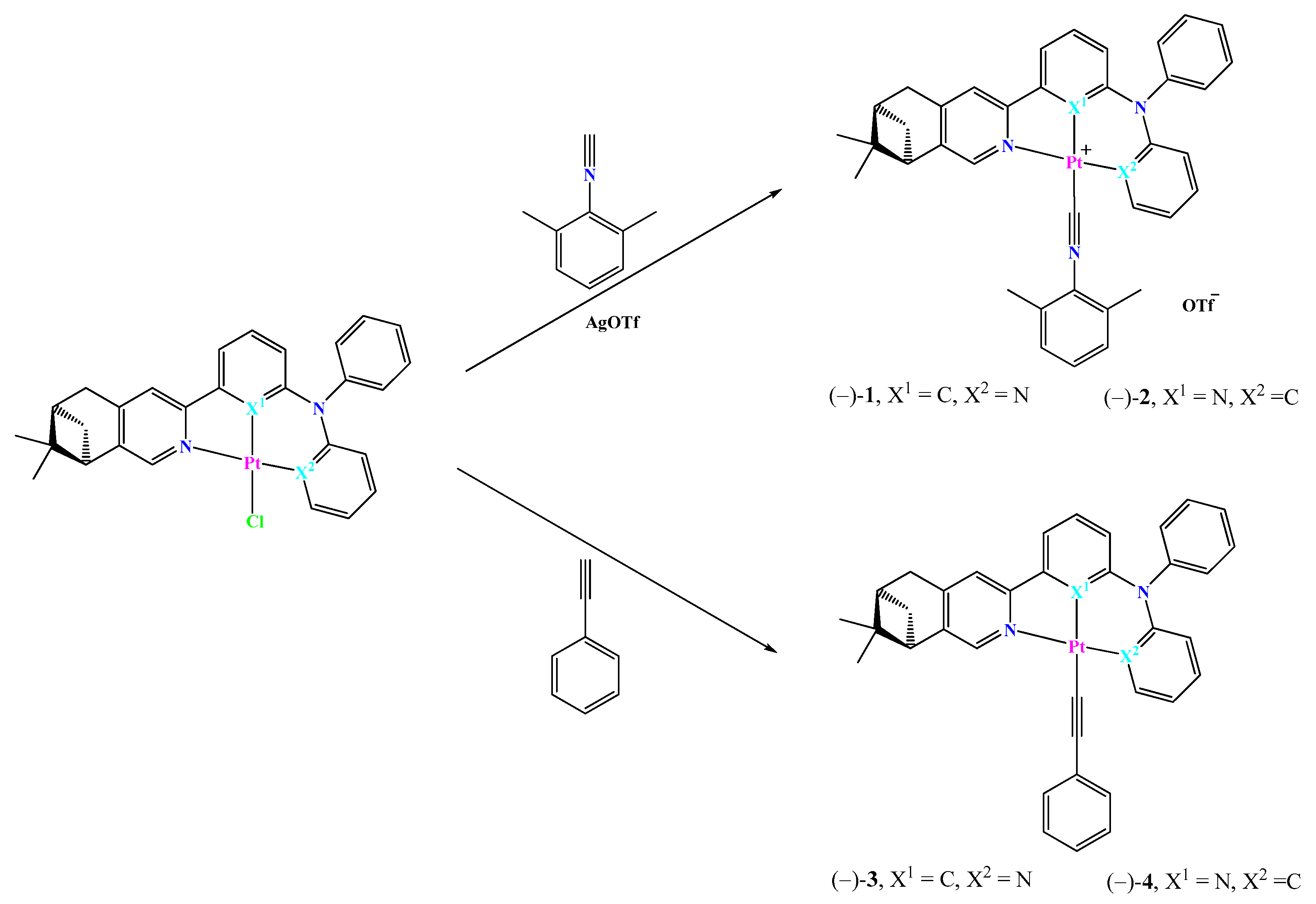 Molecules 28 06369 sch001