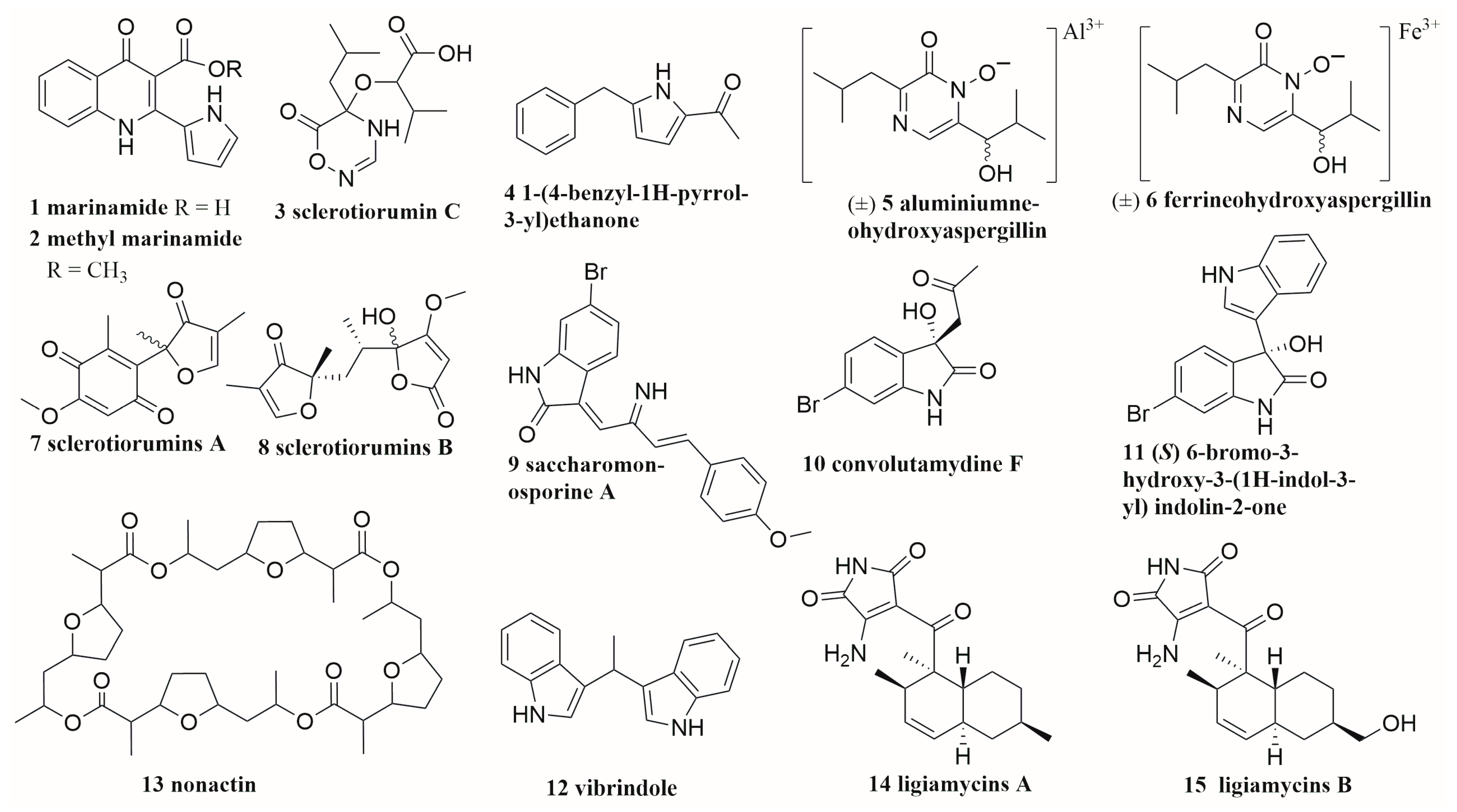 Molecules 28 06371 g001