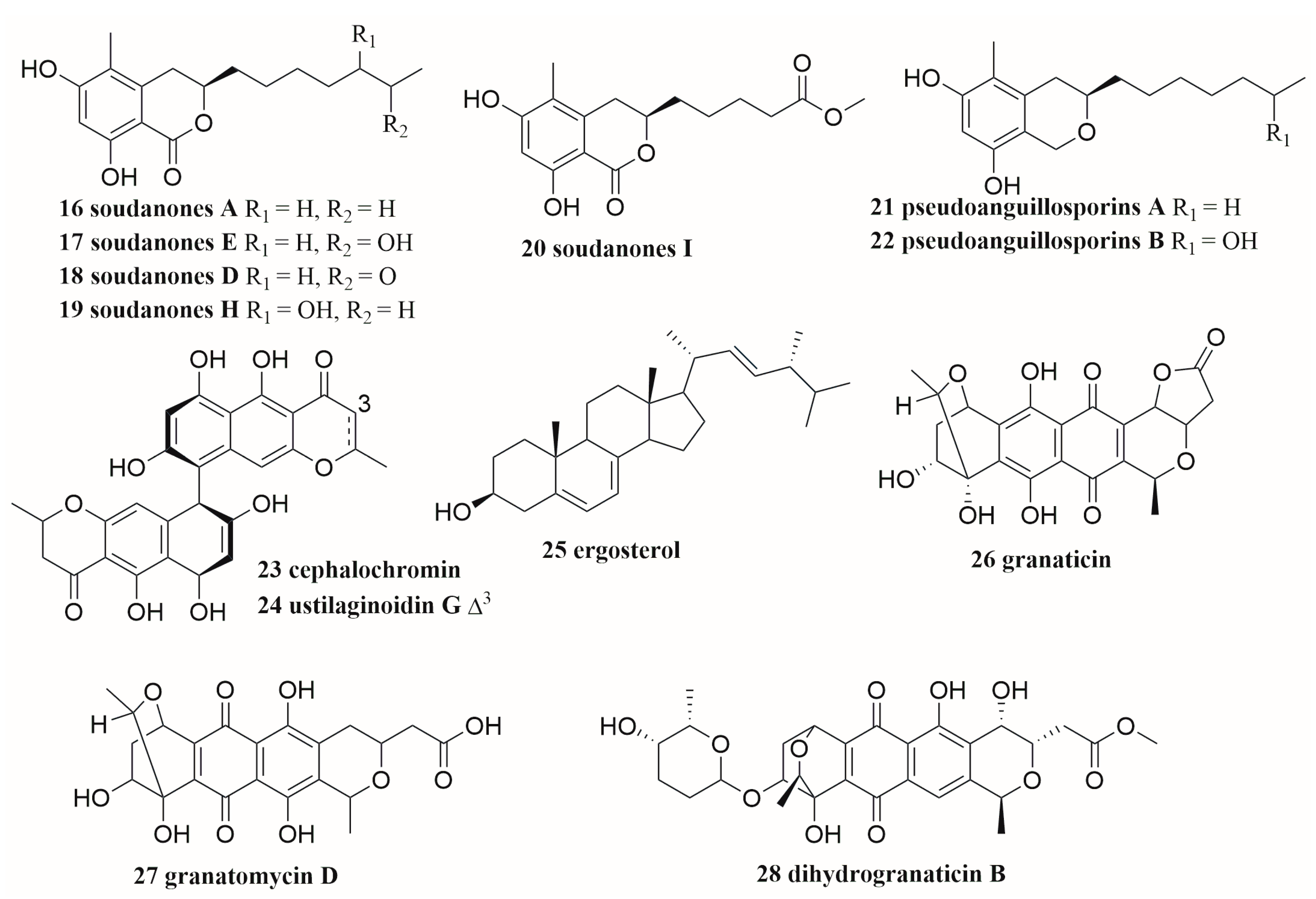 Molecules 28 06371 g002