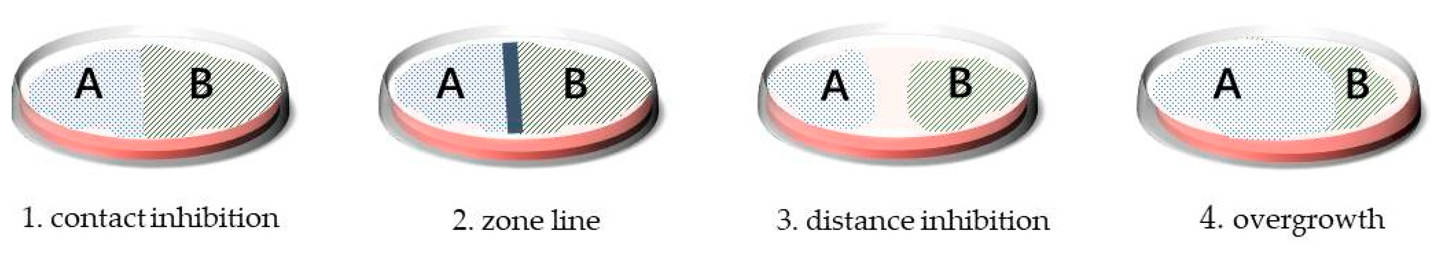 Molecules 28 06371 g004