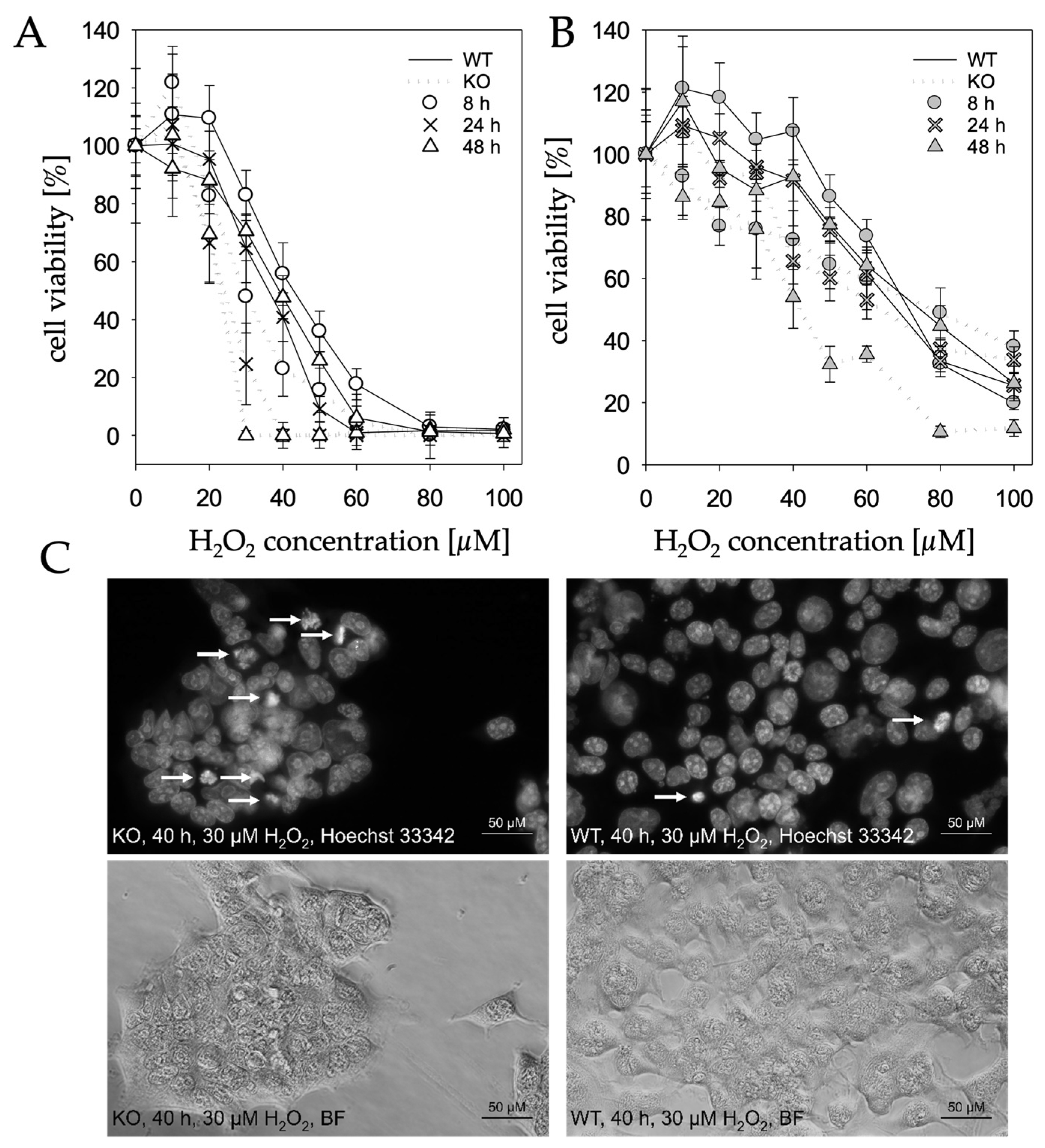 Molecules 28 06384 g005