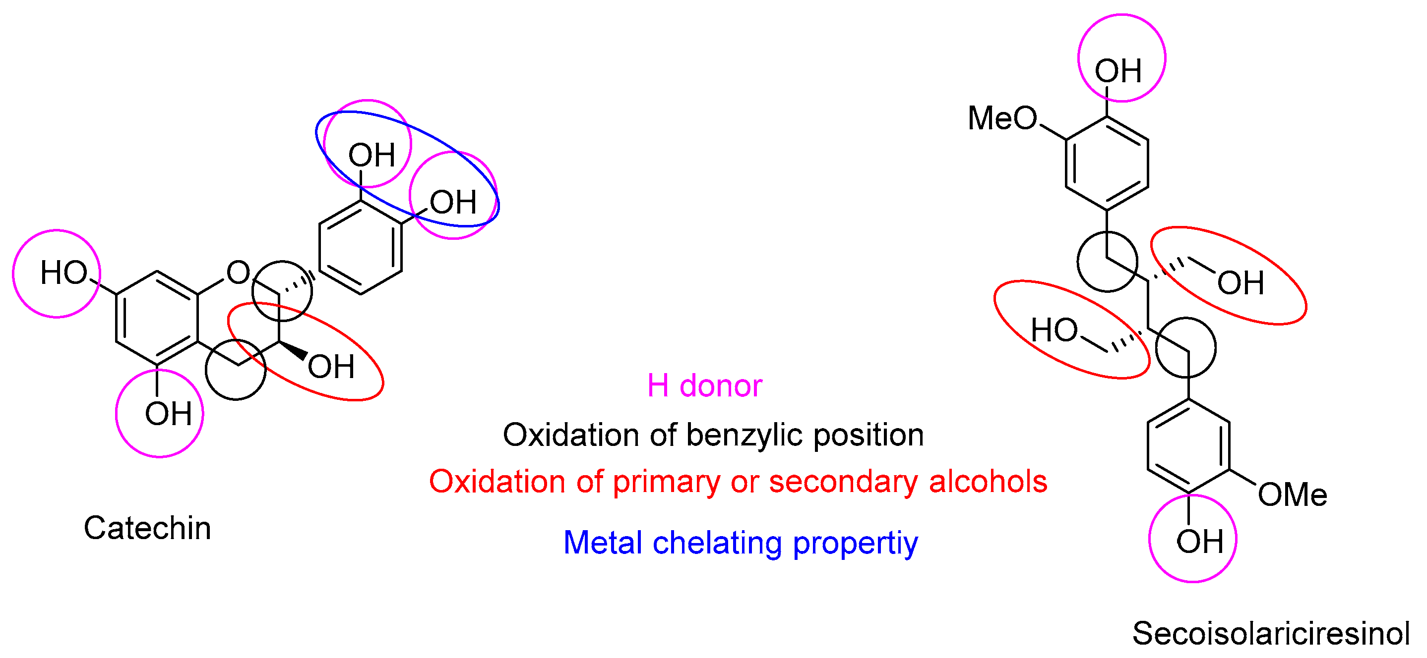 Molecules 28 06391 g005 Molecules 28 06391 g005