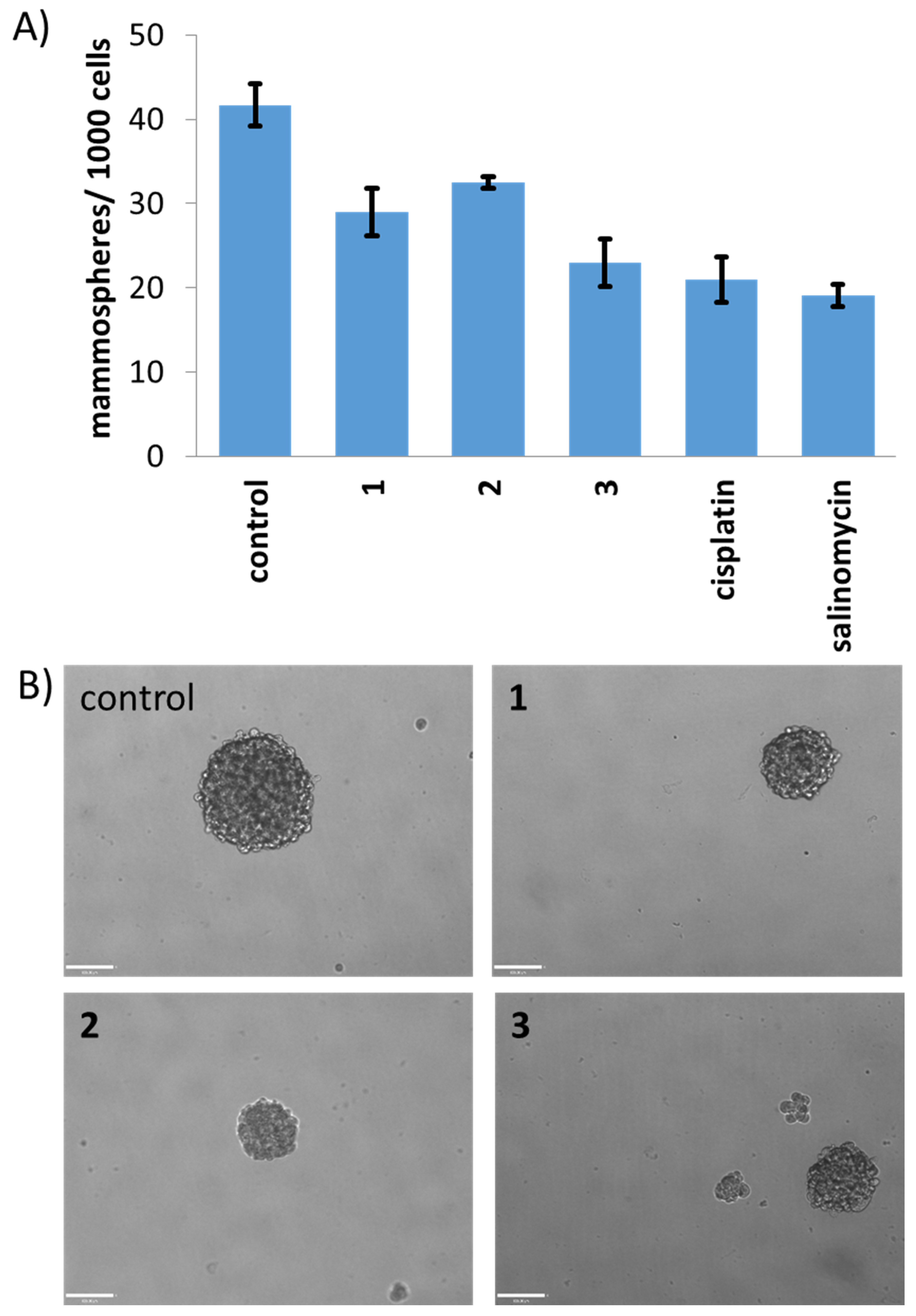 Molecules 28 06401 g003