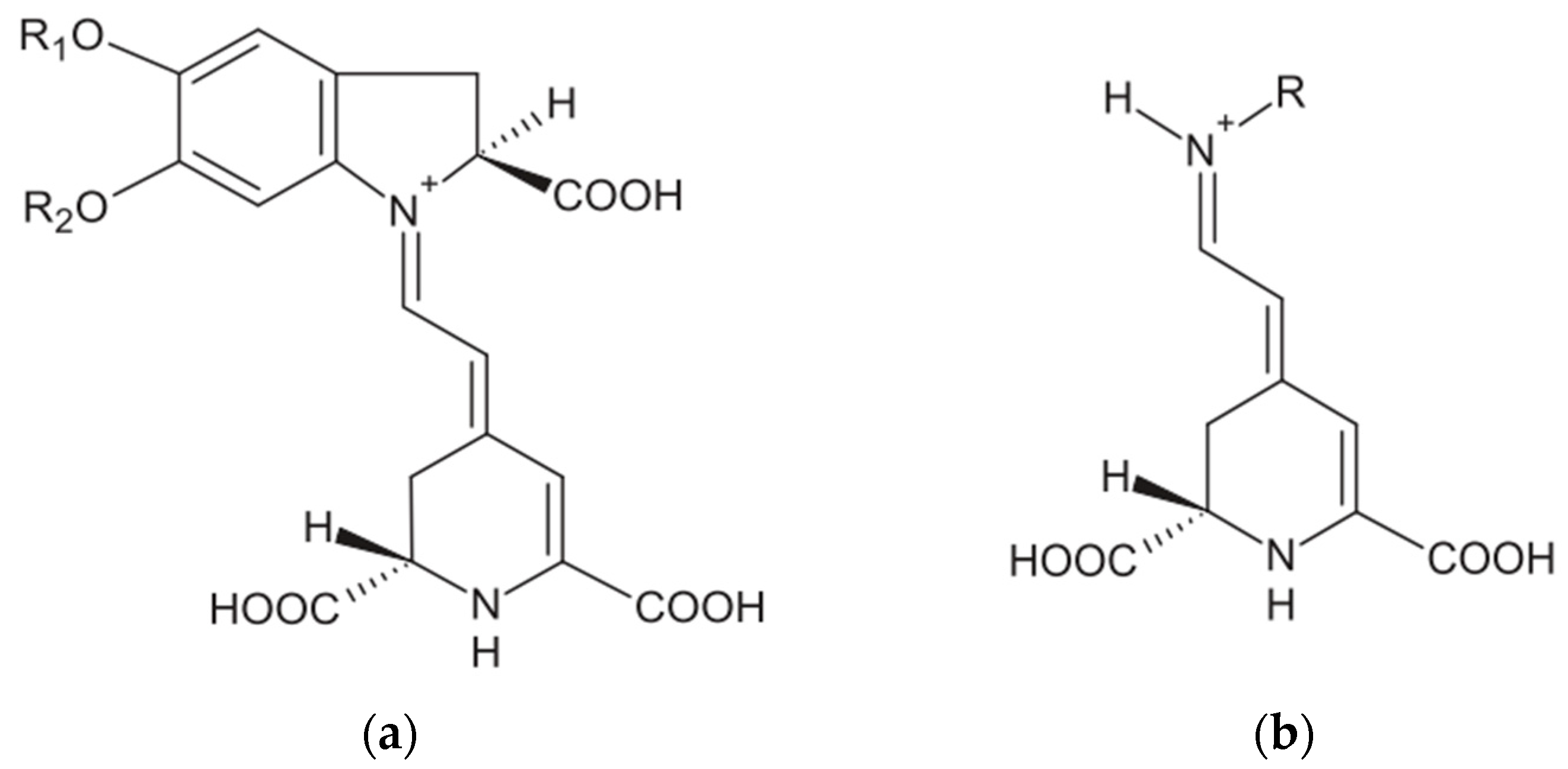 Acido citrico – Betanzam Chemicals