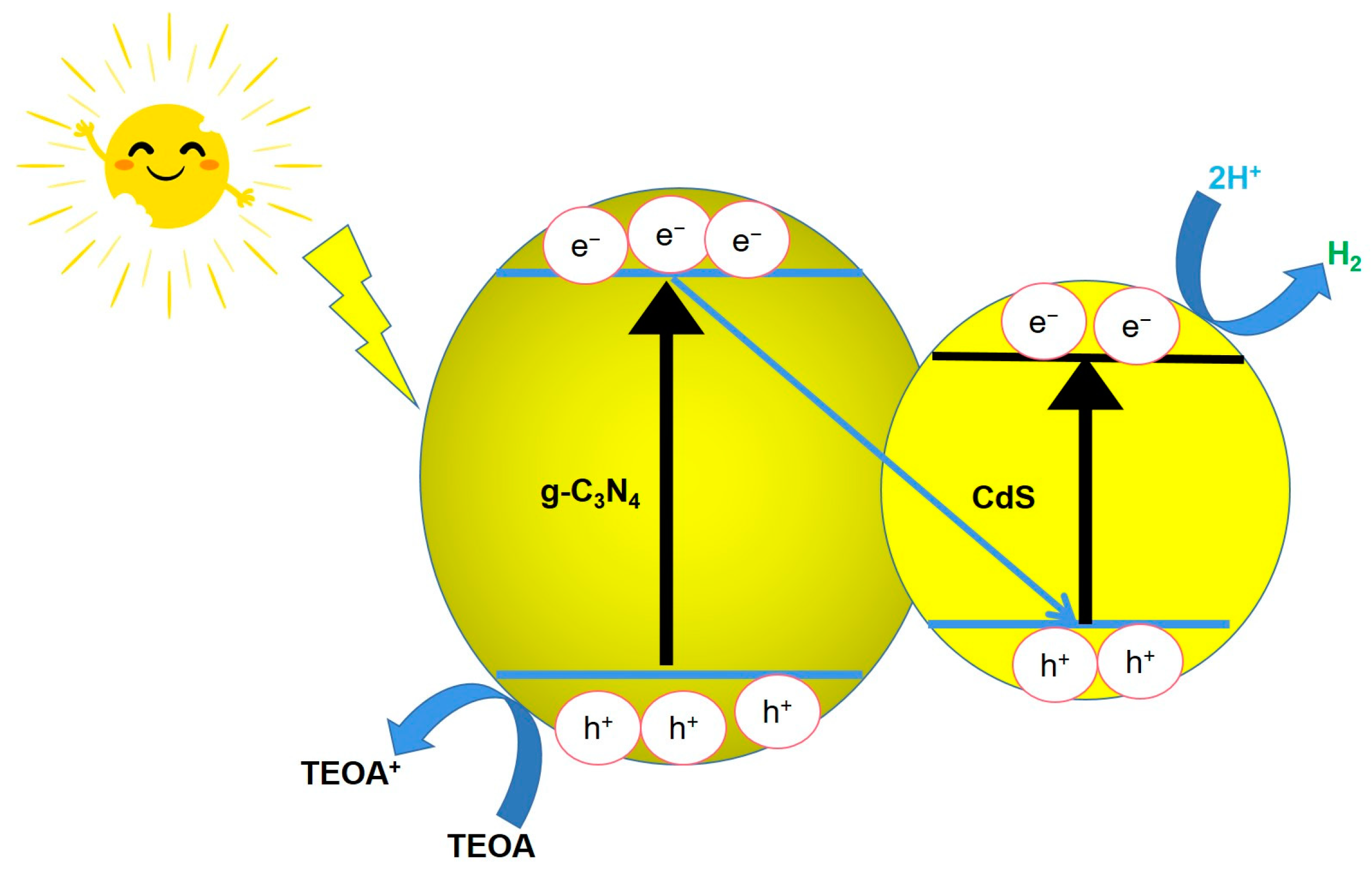 Molecules 28 06412 g009