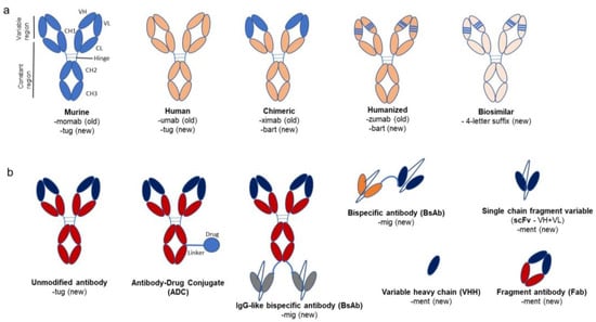 1st Therapeutic Antibody Workshop