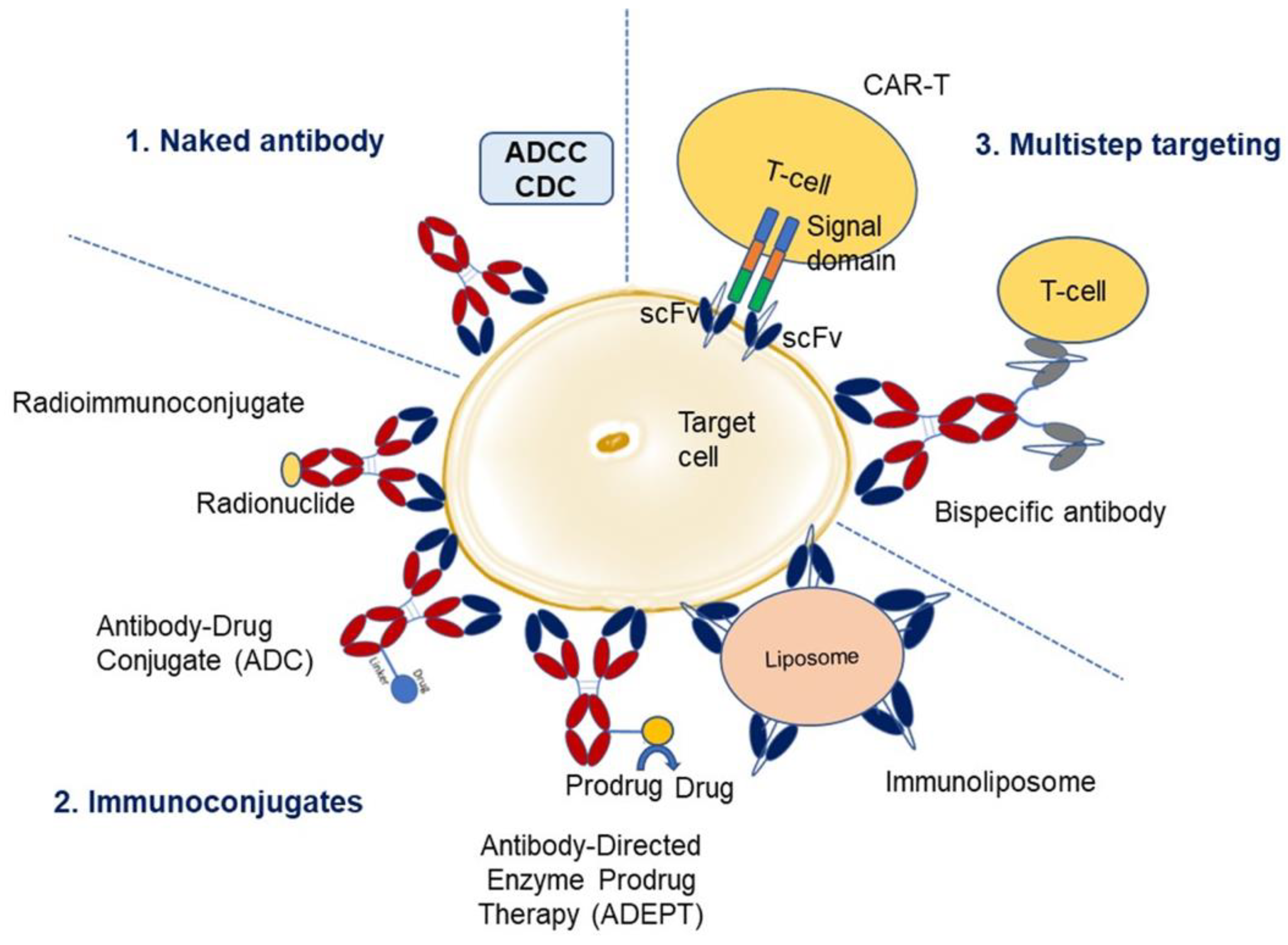 Molecules 28 06438 g002