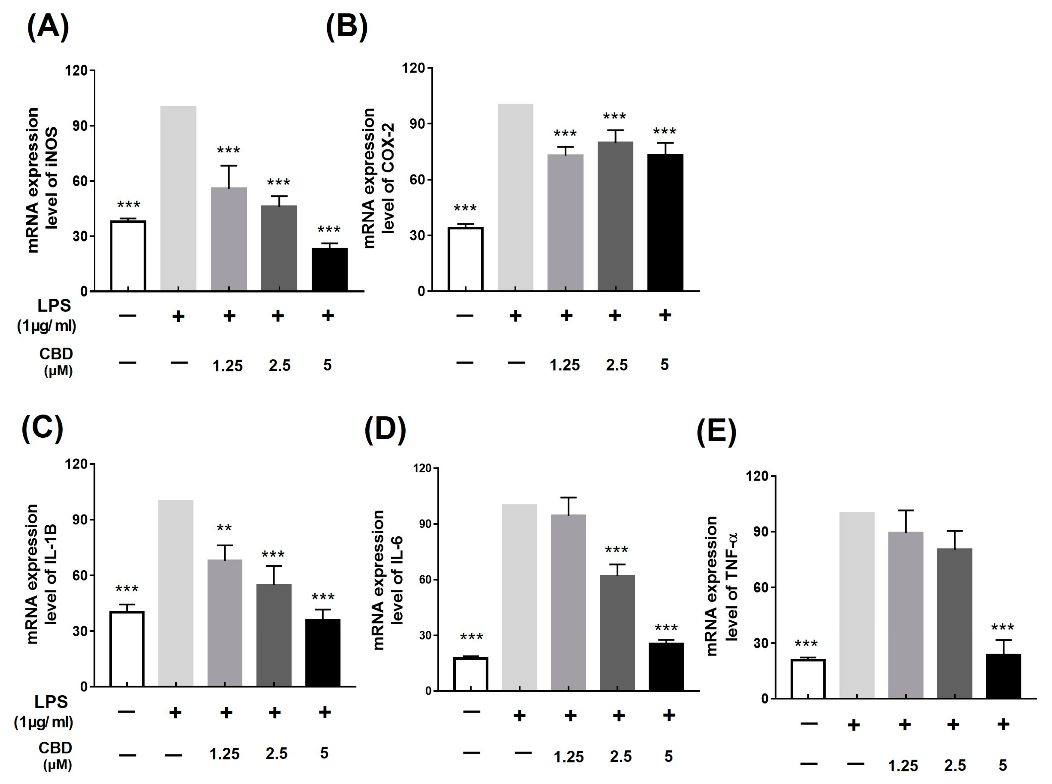 Molecules 28 06439 g002