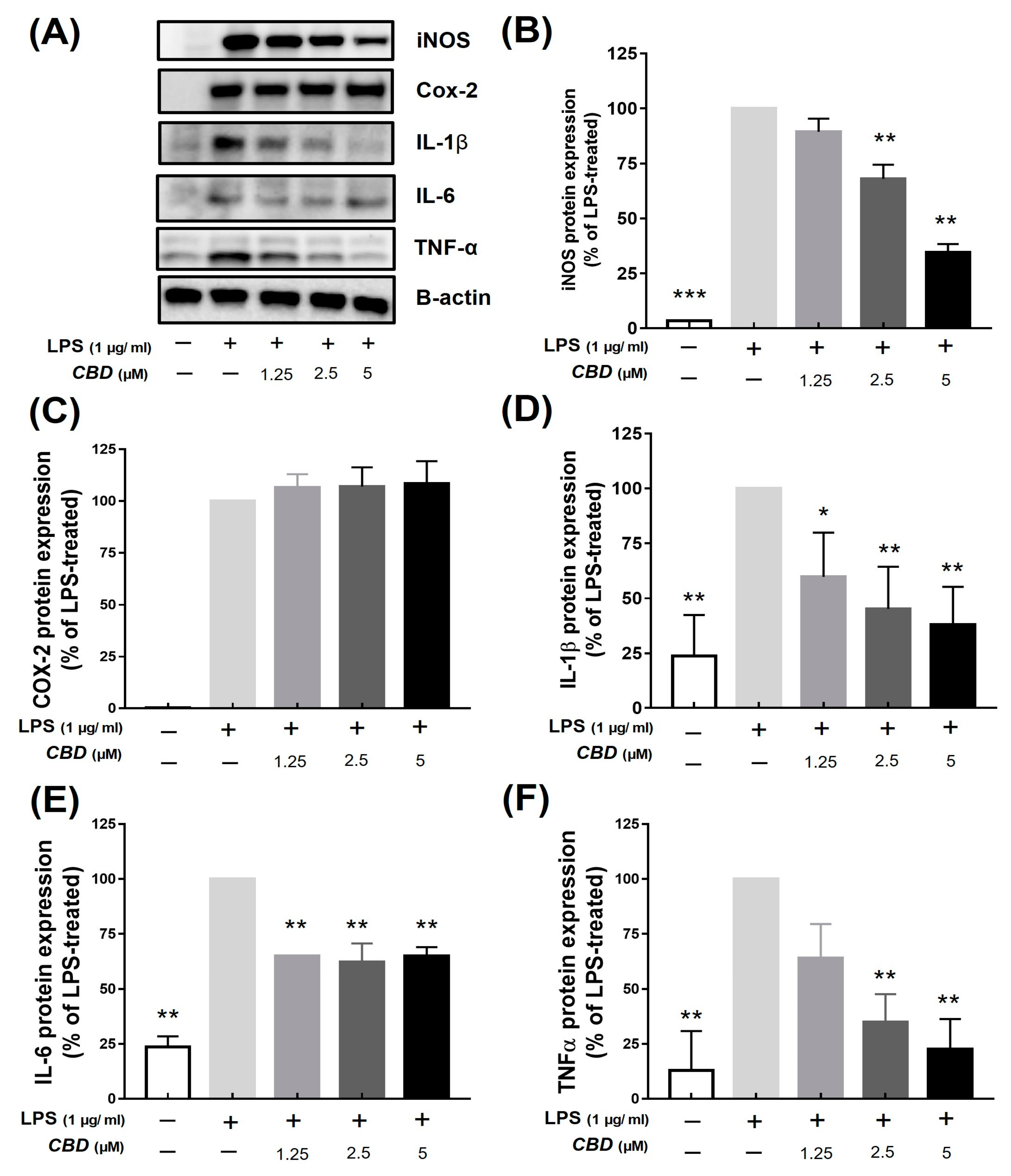 Molecules 28 06439 g003