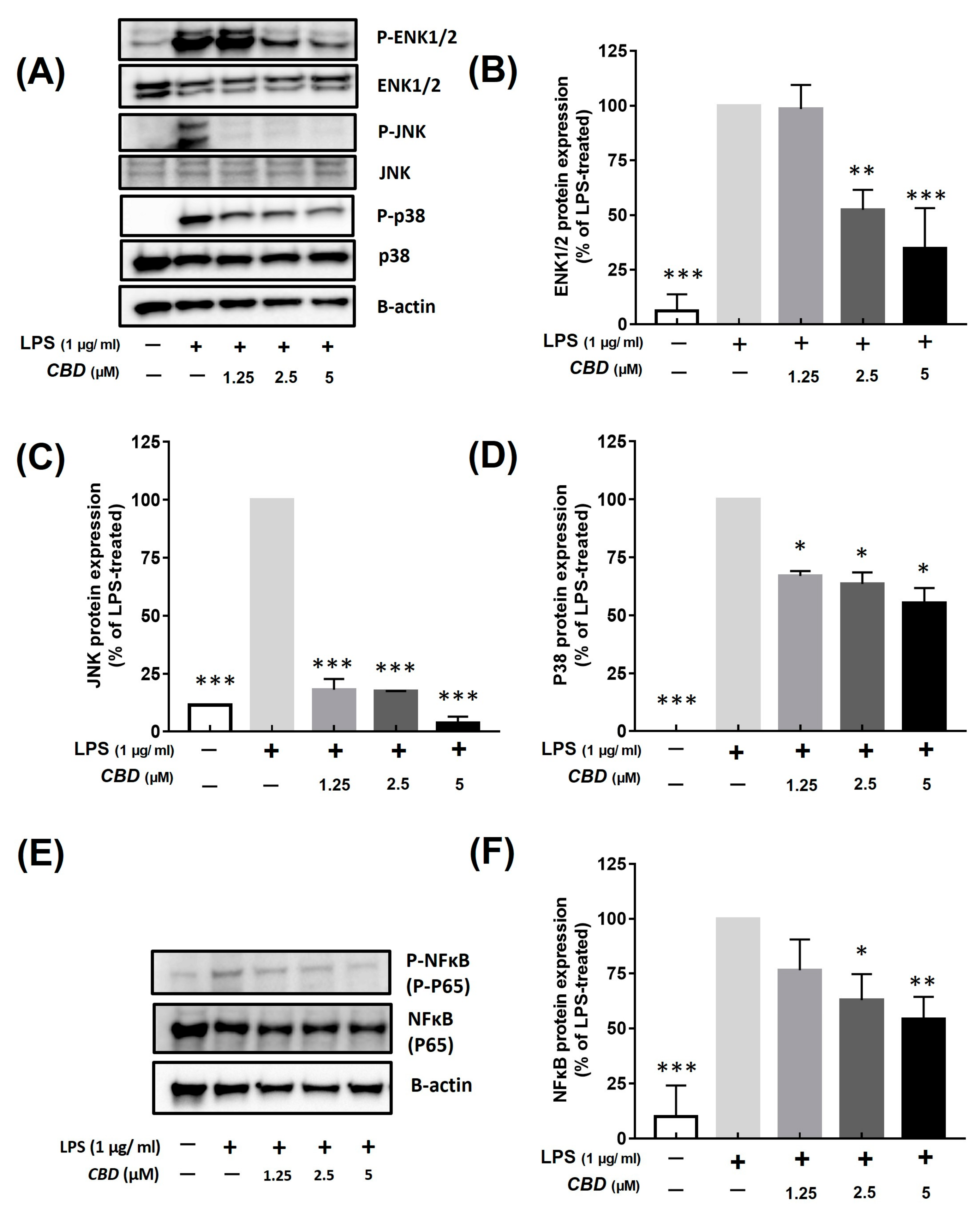 Molecules 28 06439 g004