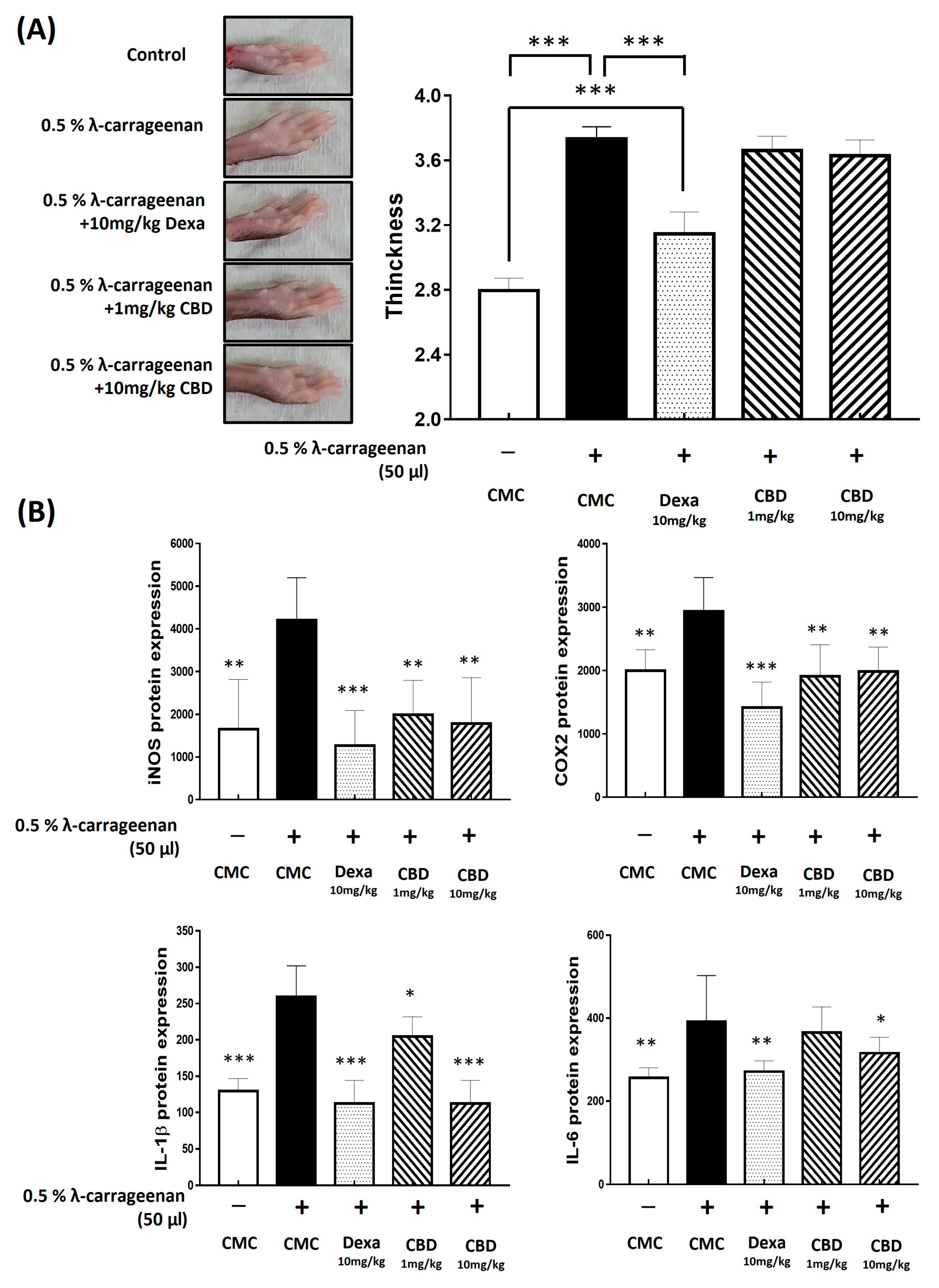 Molecules 28 06439 g005