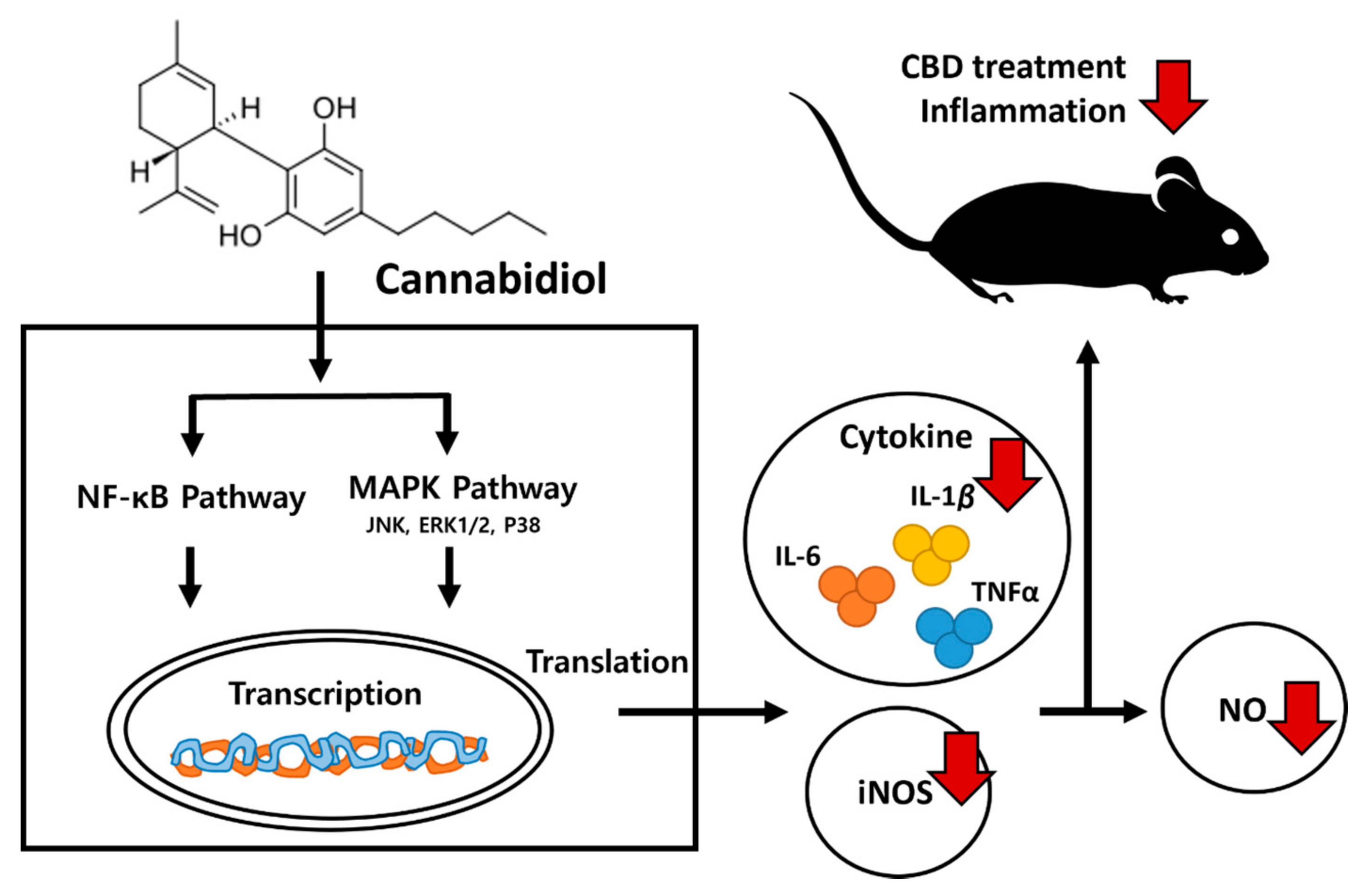 Molecules 28 06439 g006