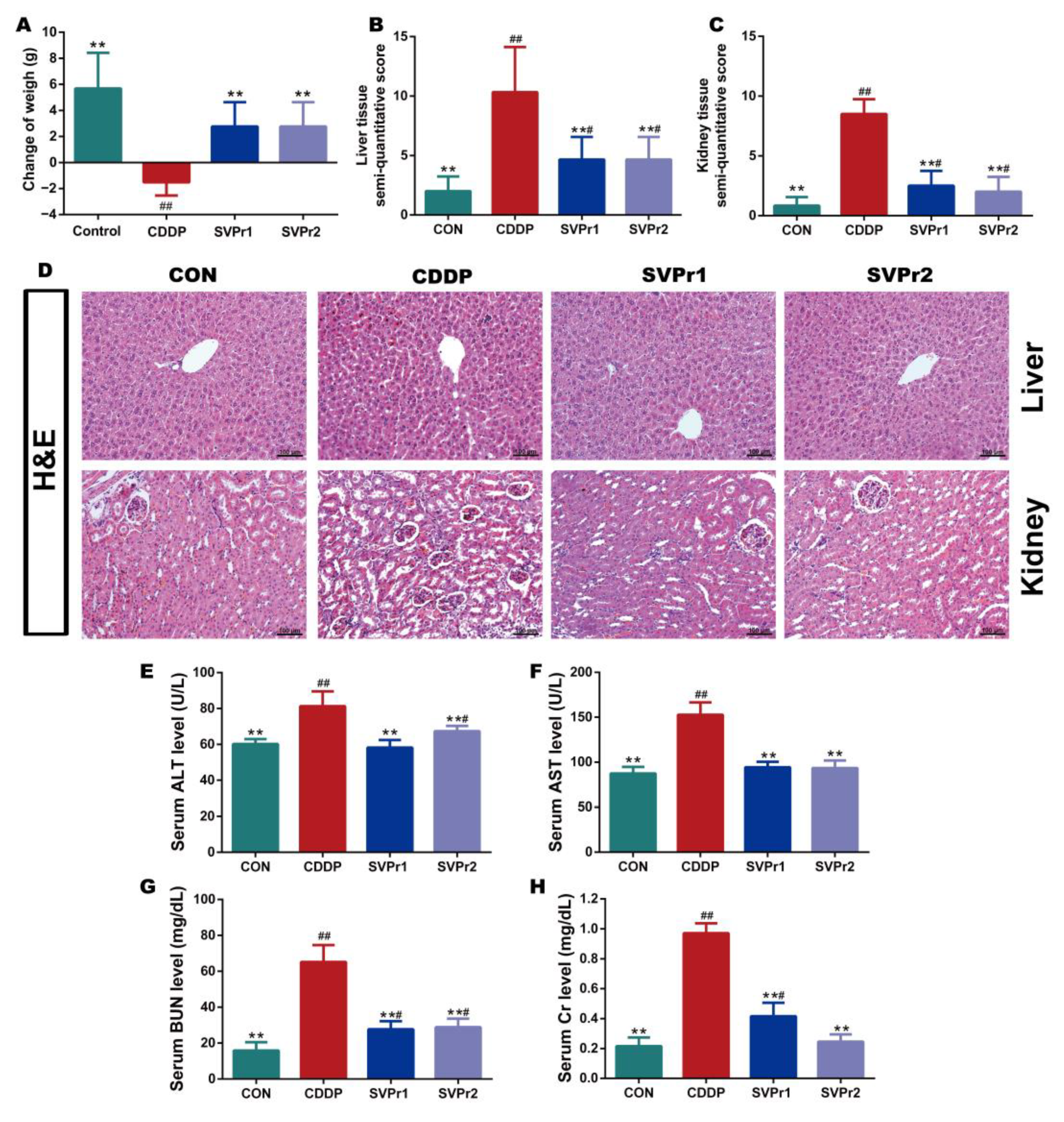 Molecules 28 06463 g002