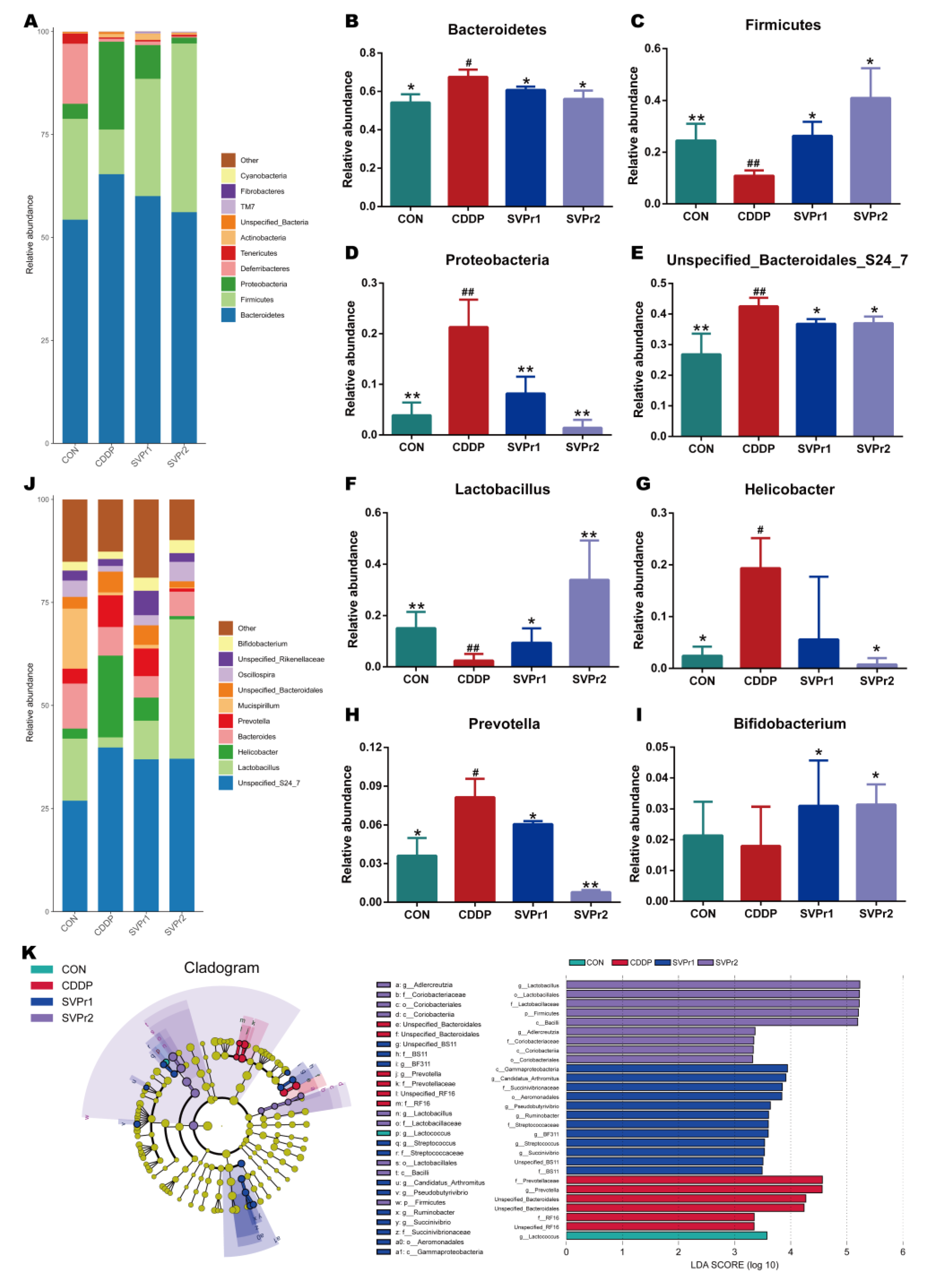 Molecules 28 06463 g004