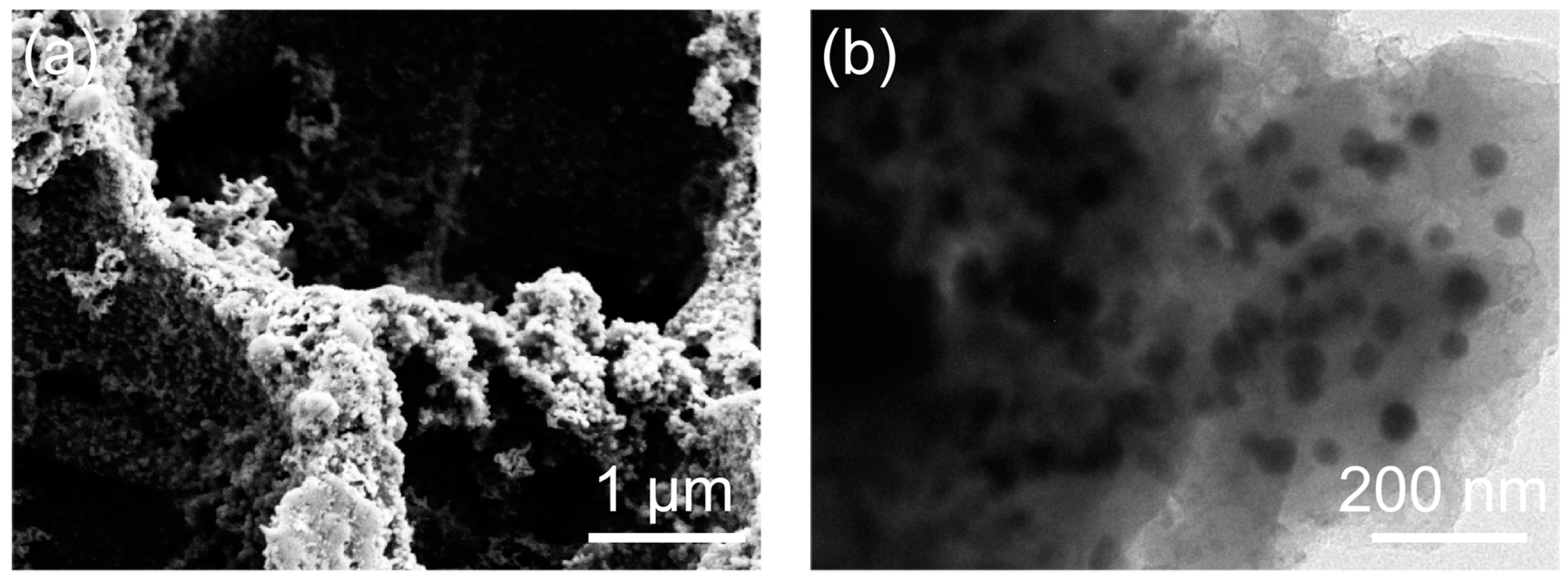 Molecules 28 06464 g006