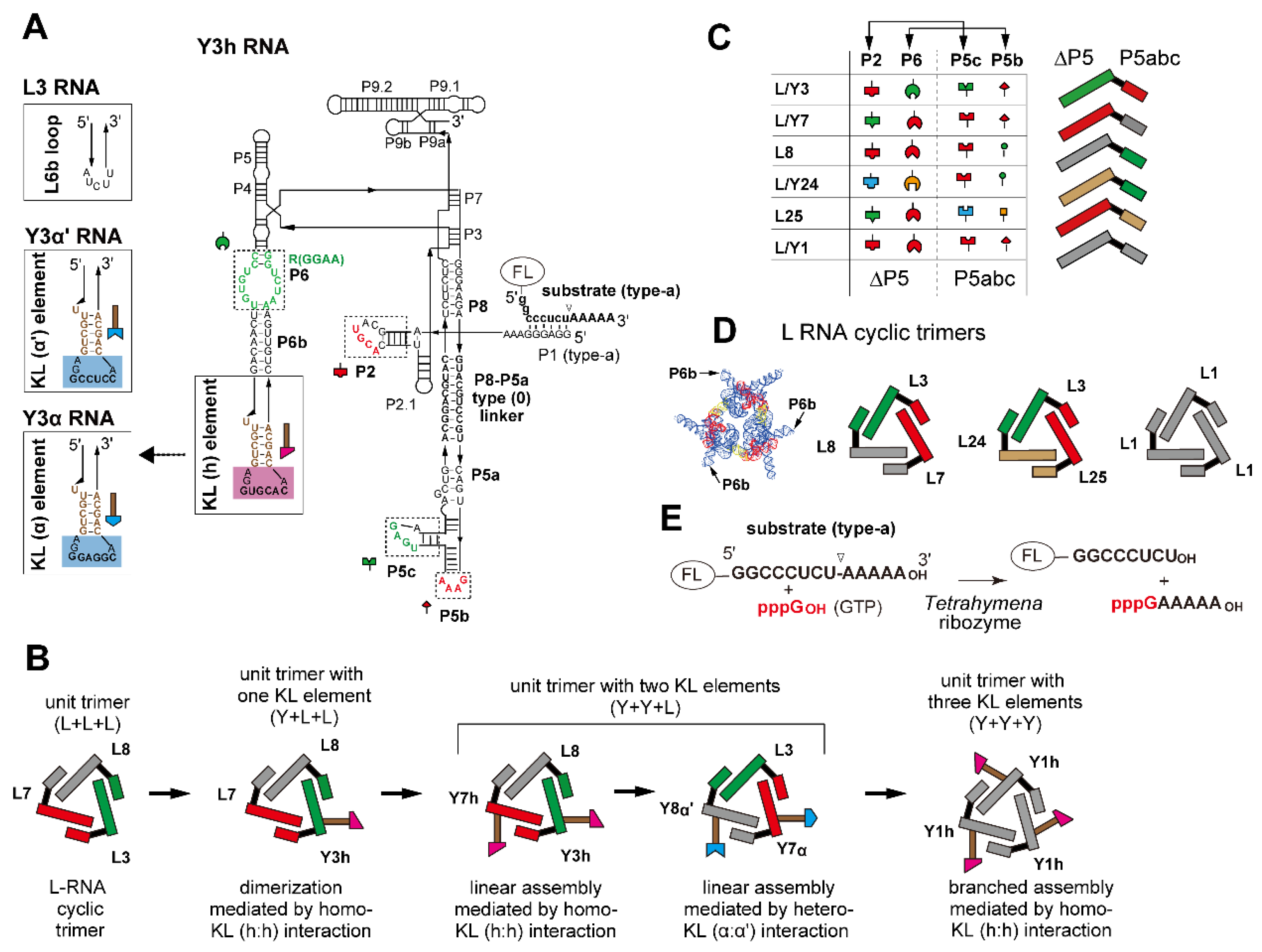 Molecules 28 06465 g001