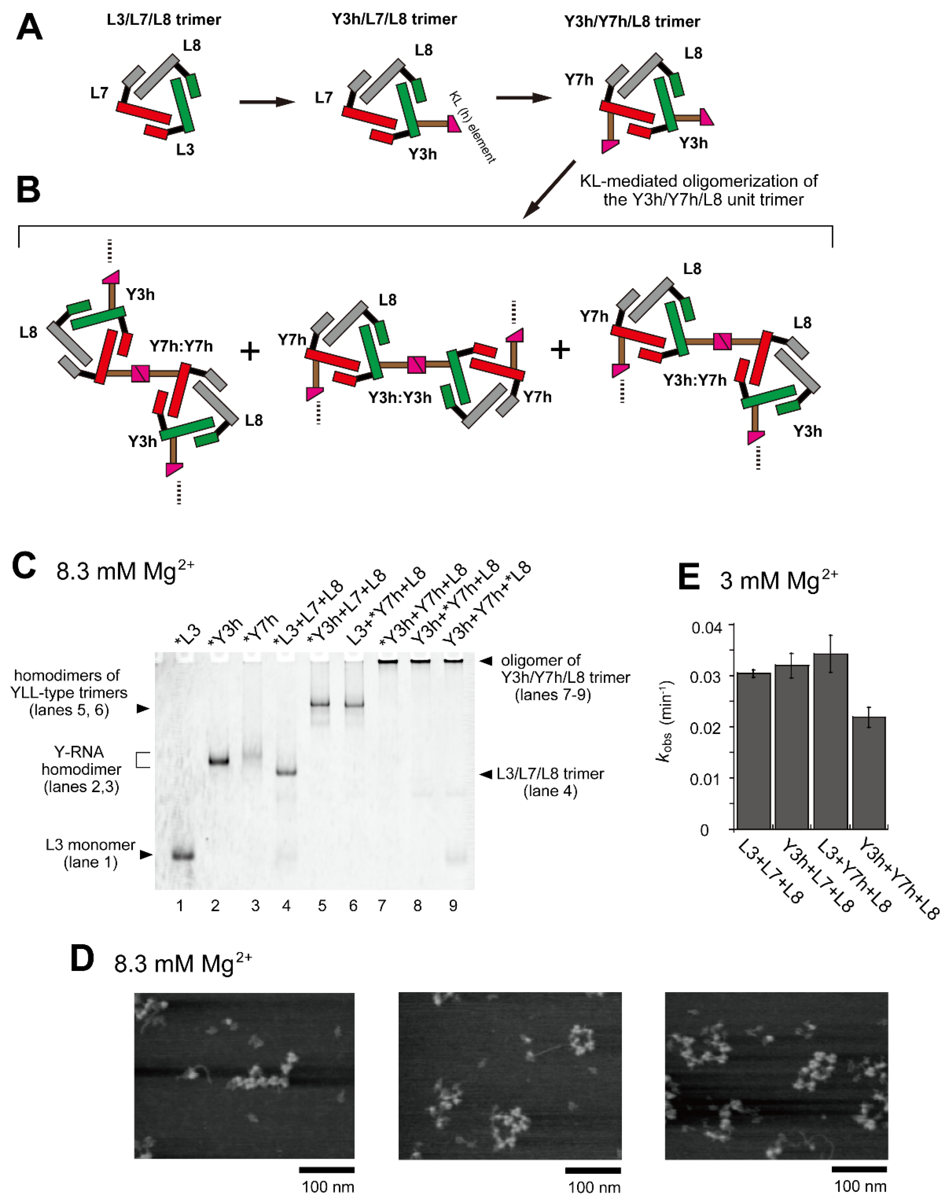 Molecules 28 06465 g003
