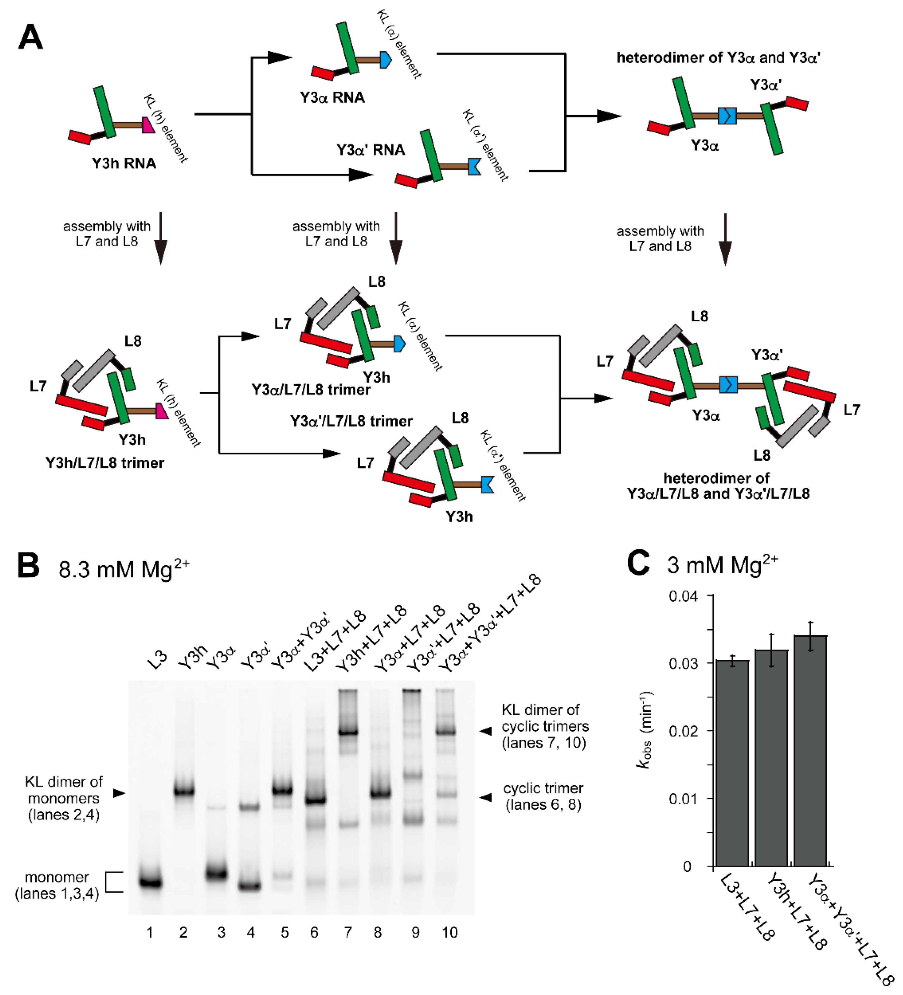 Molecules 28 06465 g004