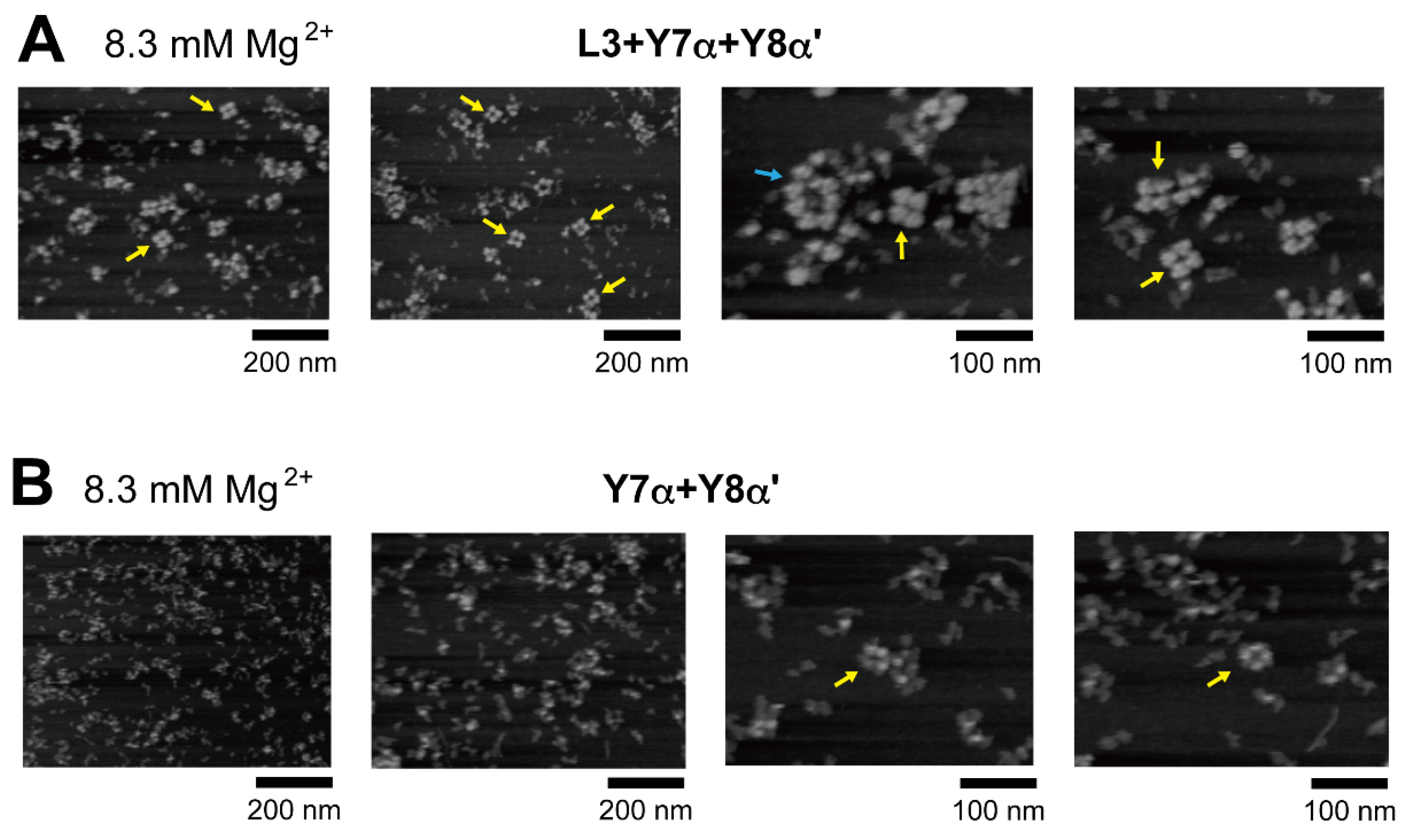 Molecules 28 06465 g006