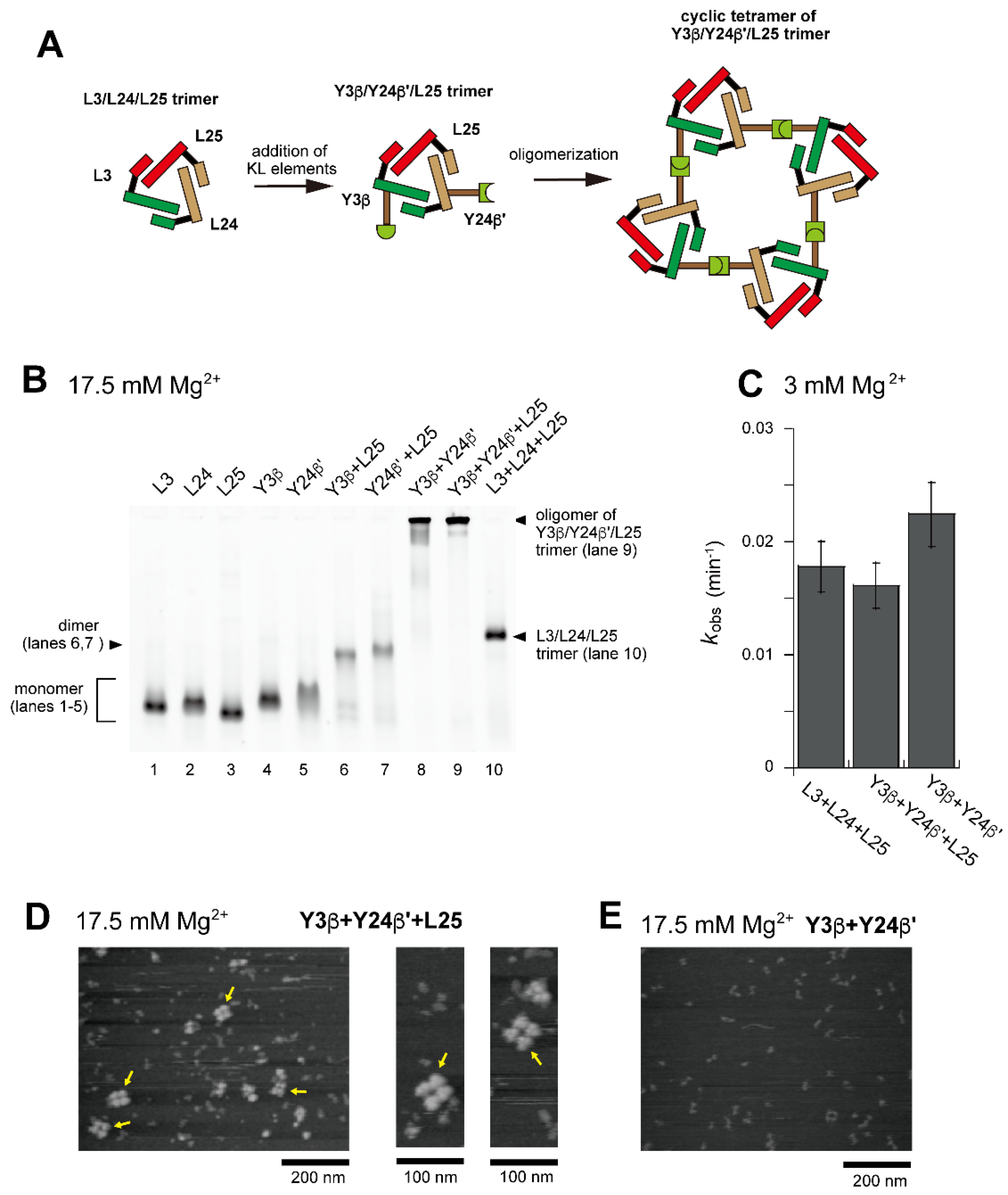 Molecules 28 06465 g007