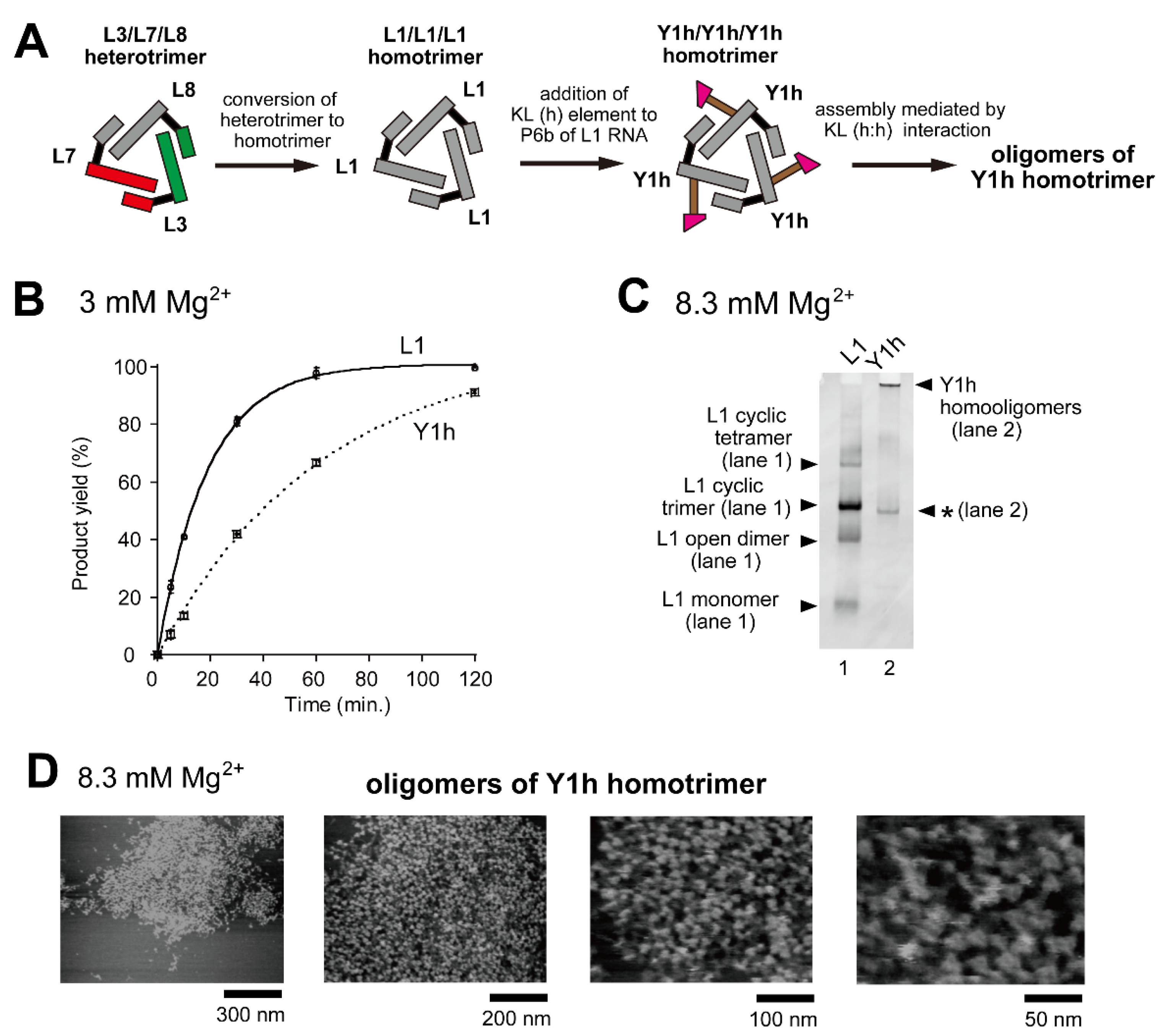 Molecules 28 06465 g008