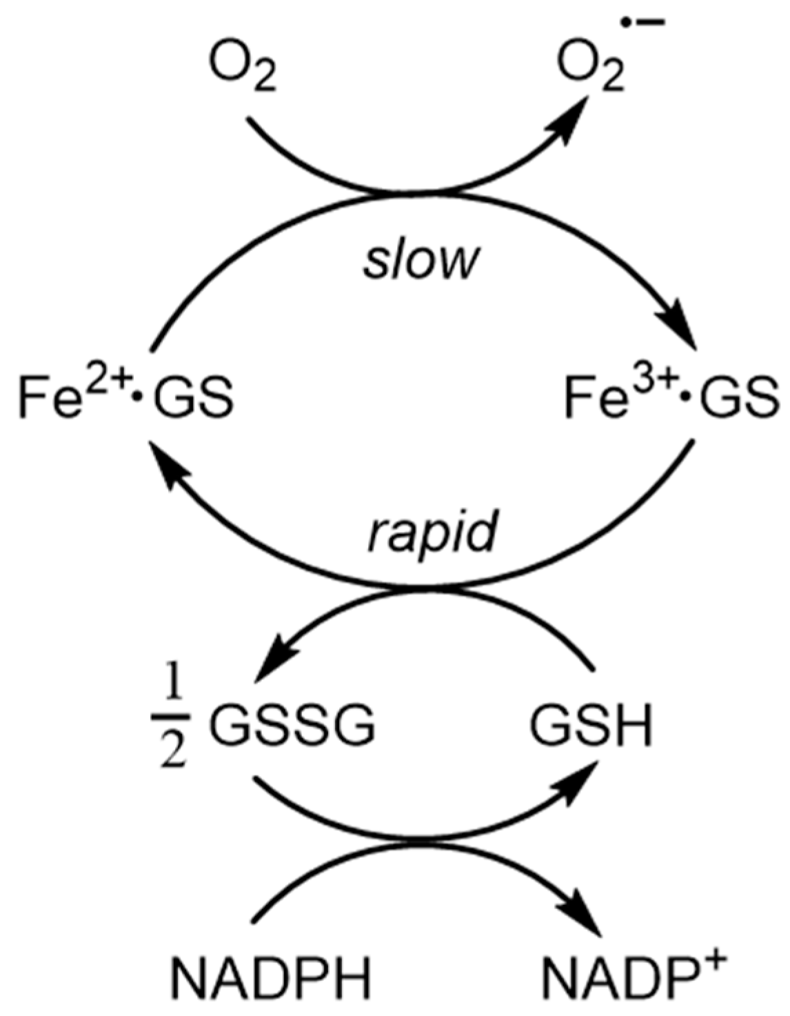 Molecules 28 06467 g003 Molecules 28 06467 g003