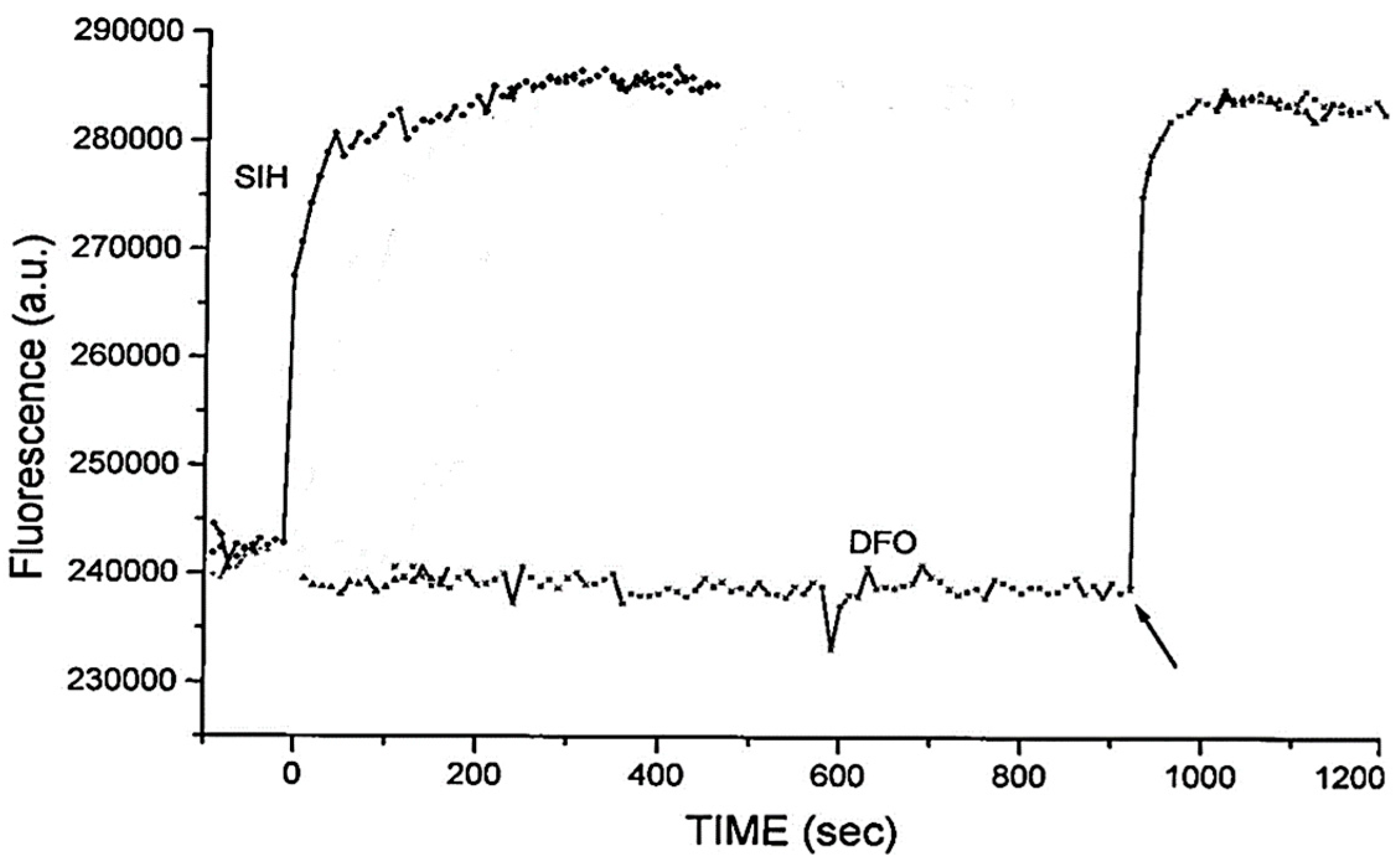 Molecules 28 06467 g005 Molecules 28 06467 g005
