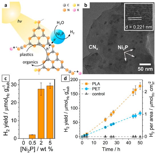 Boosted Photoreforming of Plastic Waste via Defect-Rich NiPS3 Nanosheets